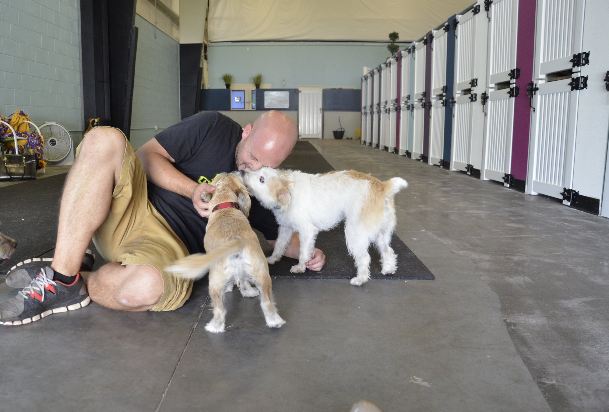 Kevin Harvey plays with Mr. Deeks and Maggie in the small dog area.