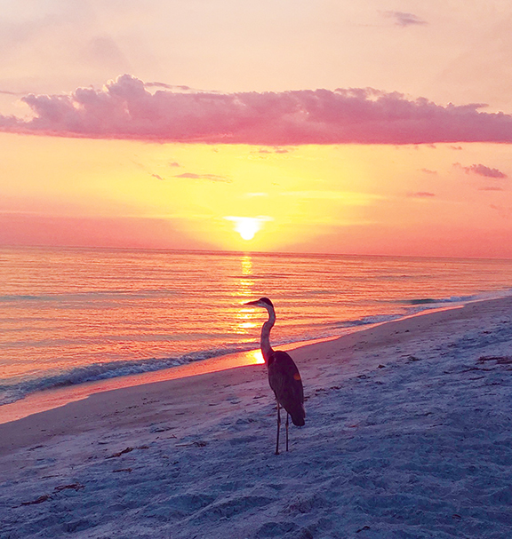 Joy Knight submitted this photo of a bird’s-eye view of sunset on Longboat Key.