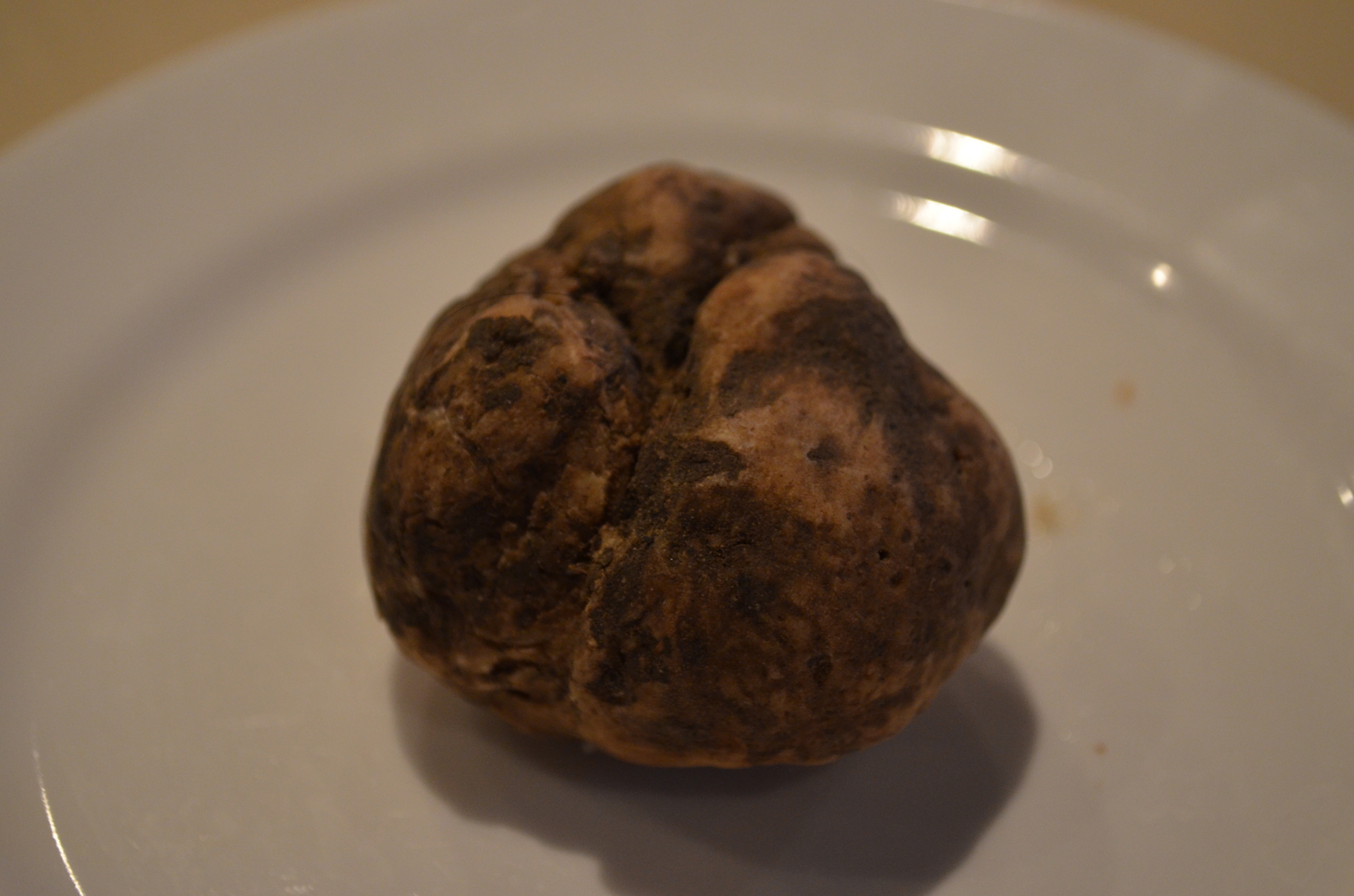This golf ball-sized truffle is worth around $100.