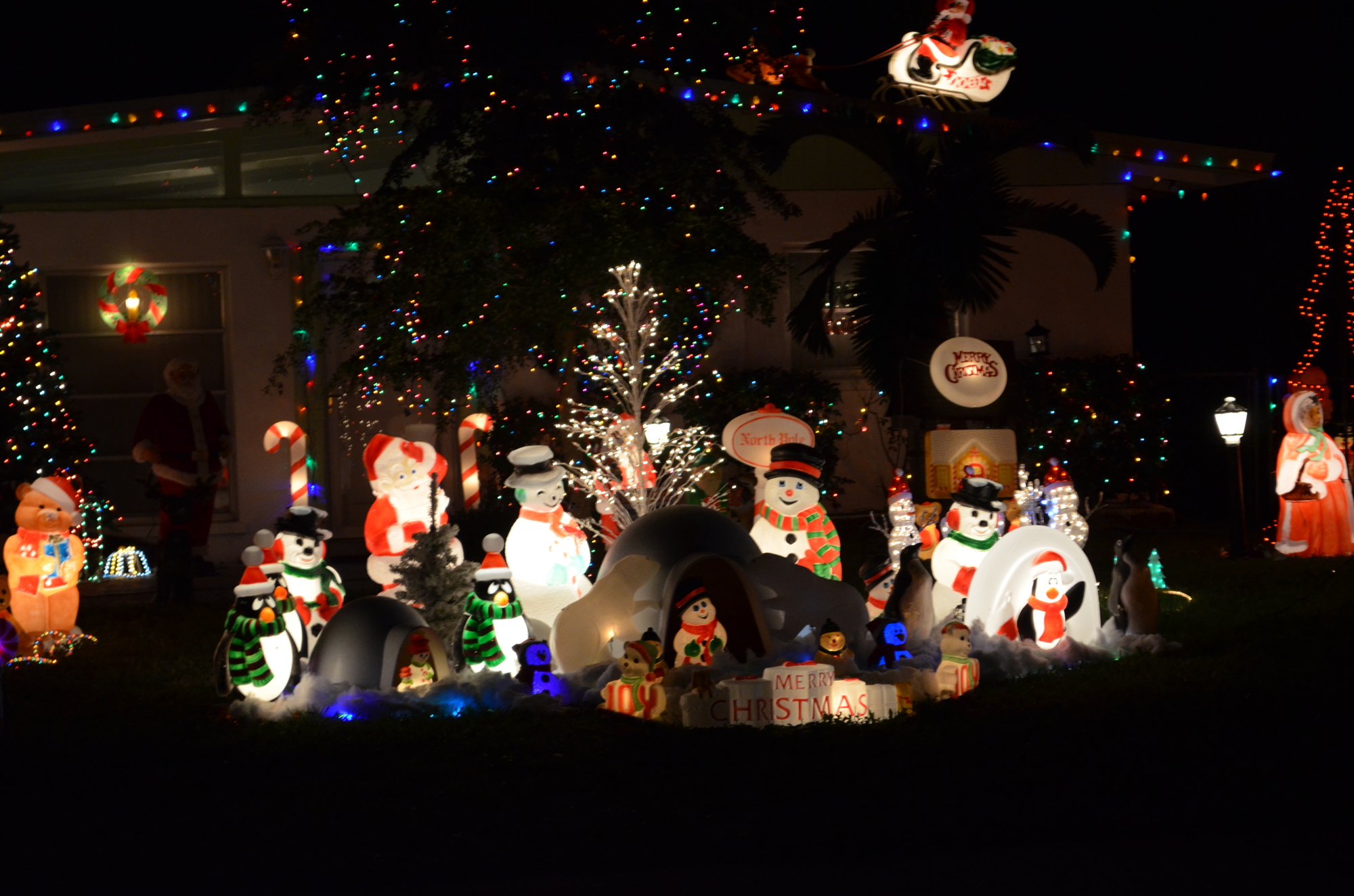 The home on 2834 Browning St. filled the lawn with decorations and lights.