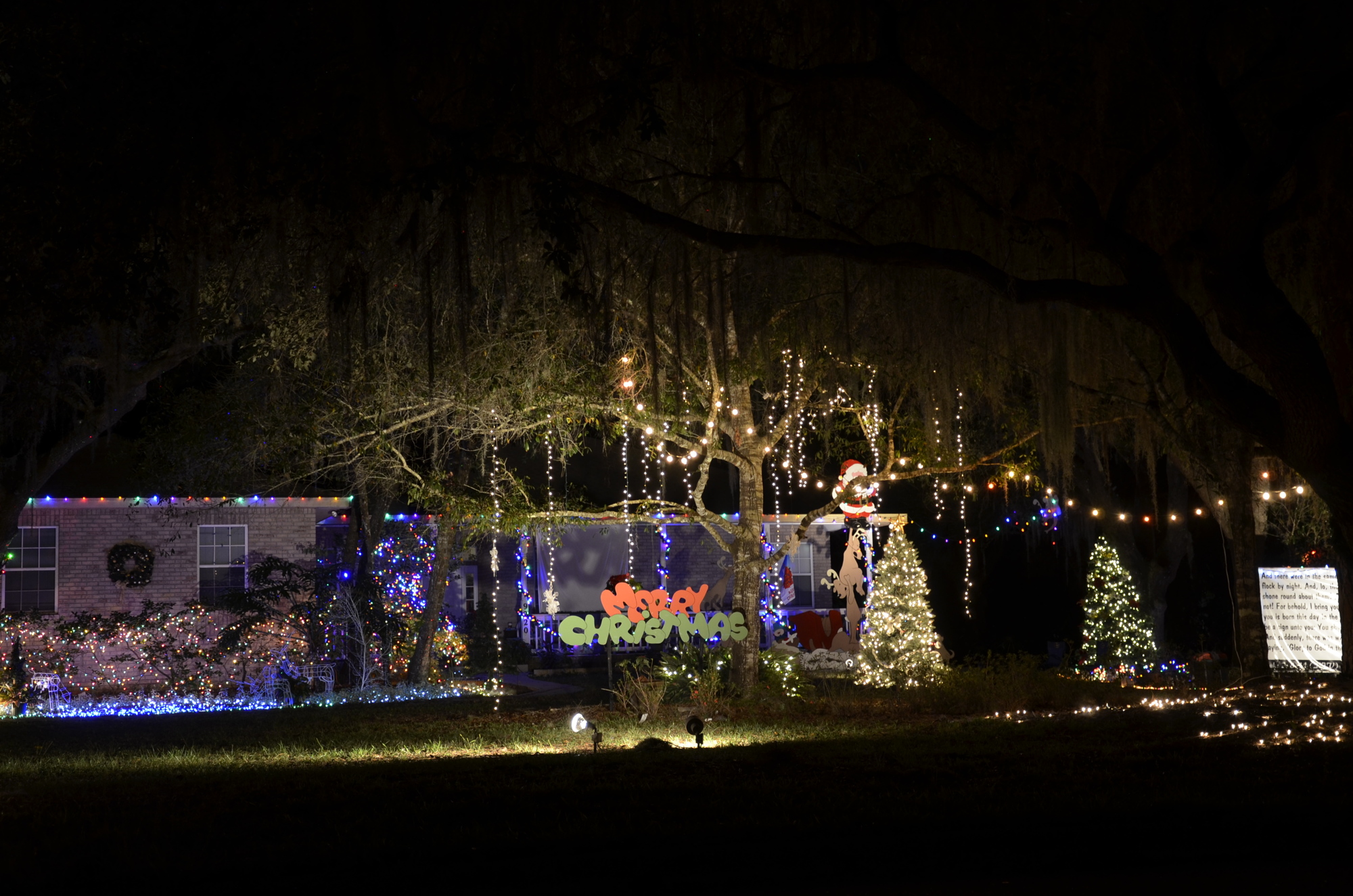 Make sure to check out the Peanuts Christmas scene in Braden Woods, 9200 block of 65th Avenue East.