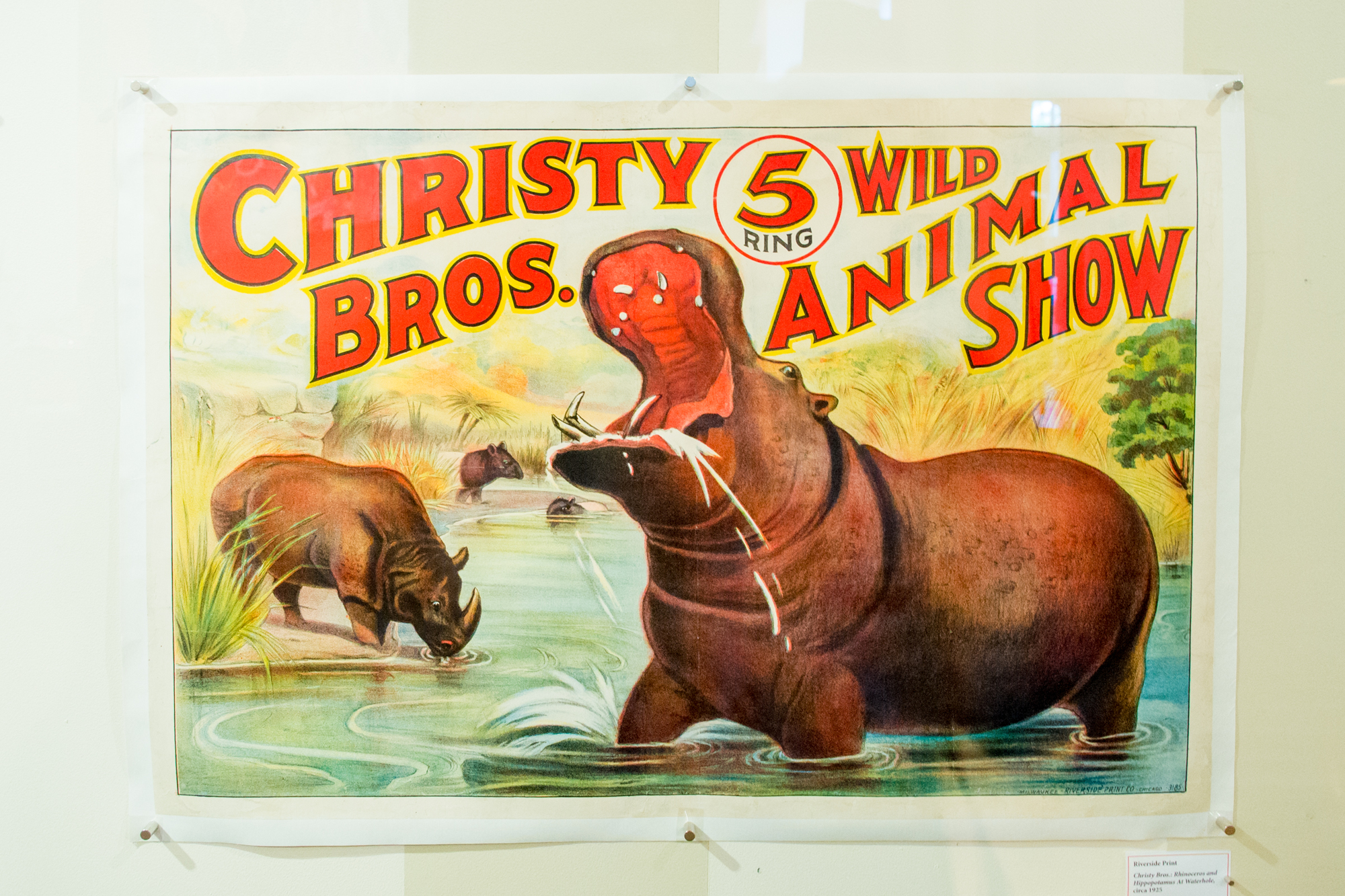 The wealth of circus artifacts sets the Ringling Museum apart from standard museums in the world.