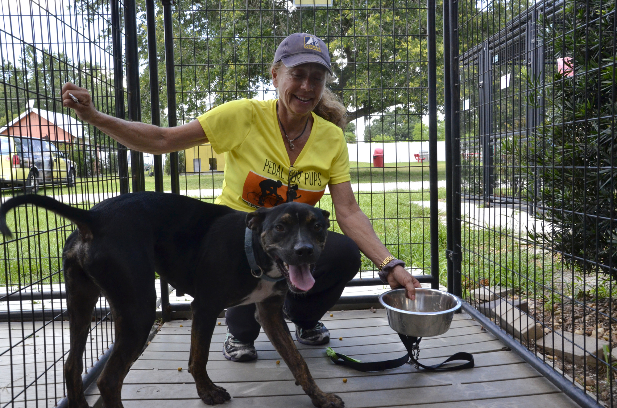 Sylvia McNichol helps feed the dogs in the cottages. Photo by Jessica Salmond