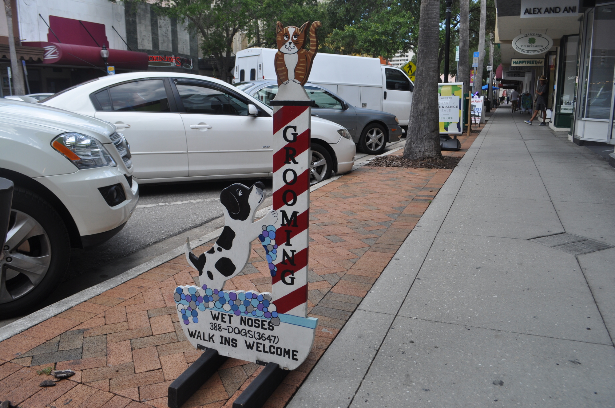 Several downtown stores, such as Wet Noses, forego the traditional A-frame sign to draw attention to their businesses.