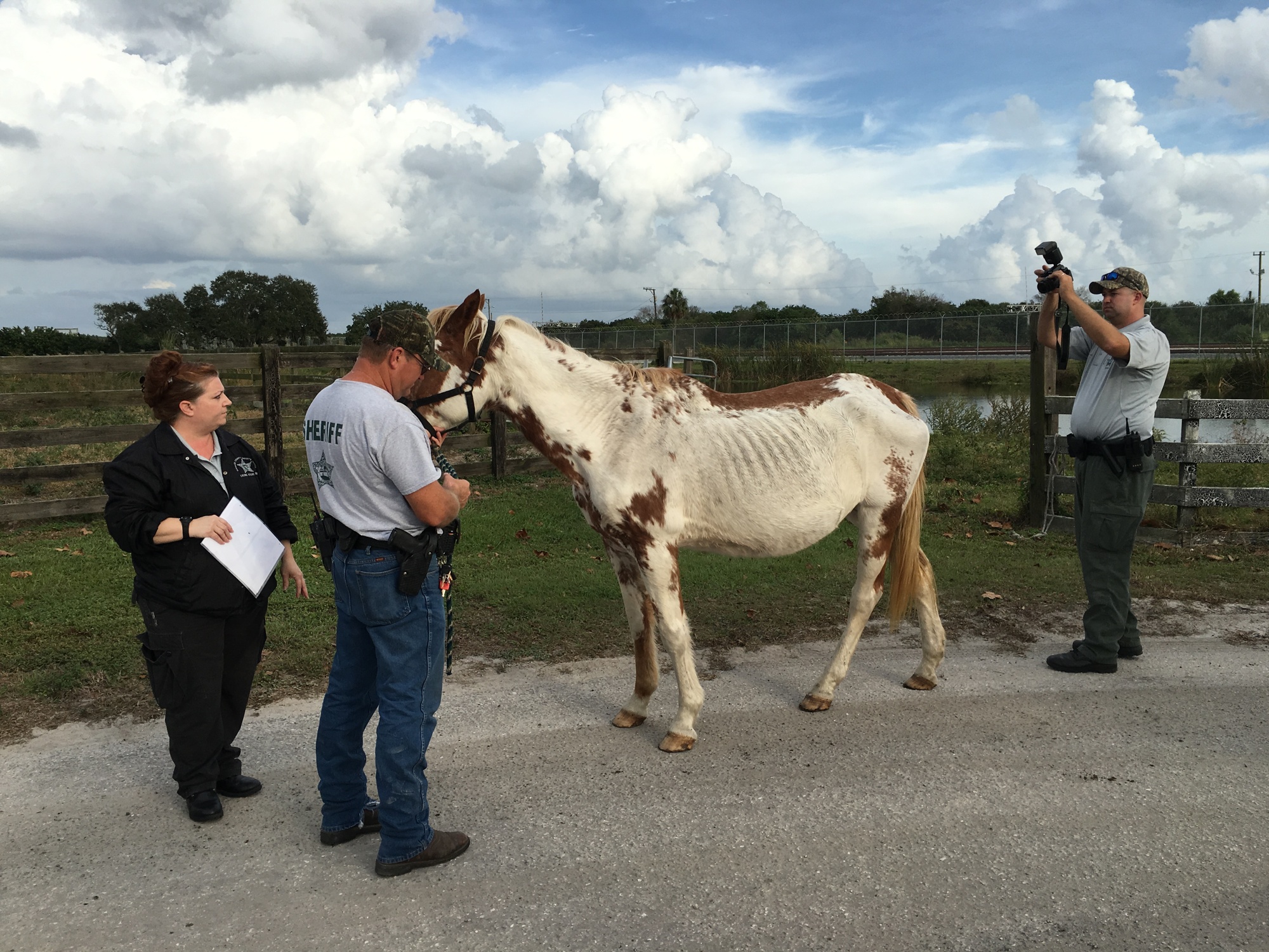 Manatee County Sheriff'S Office Florida - 4rpa82e