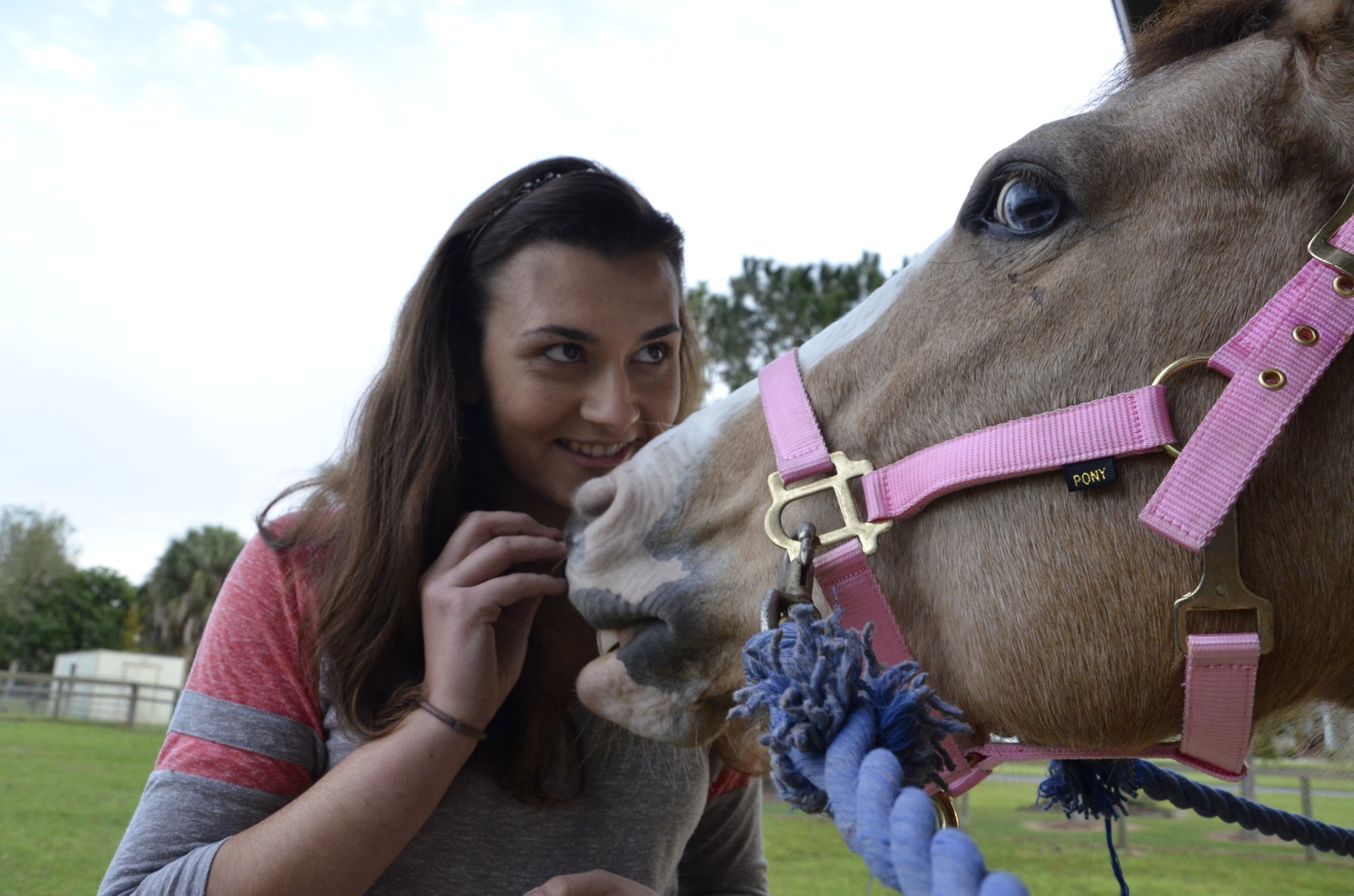 Beth Ciemniecki gives her pony Honey a treat.