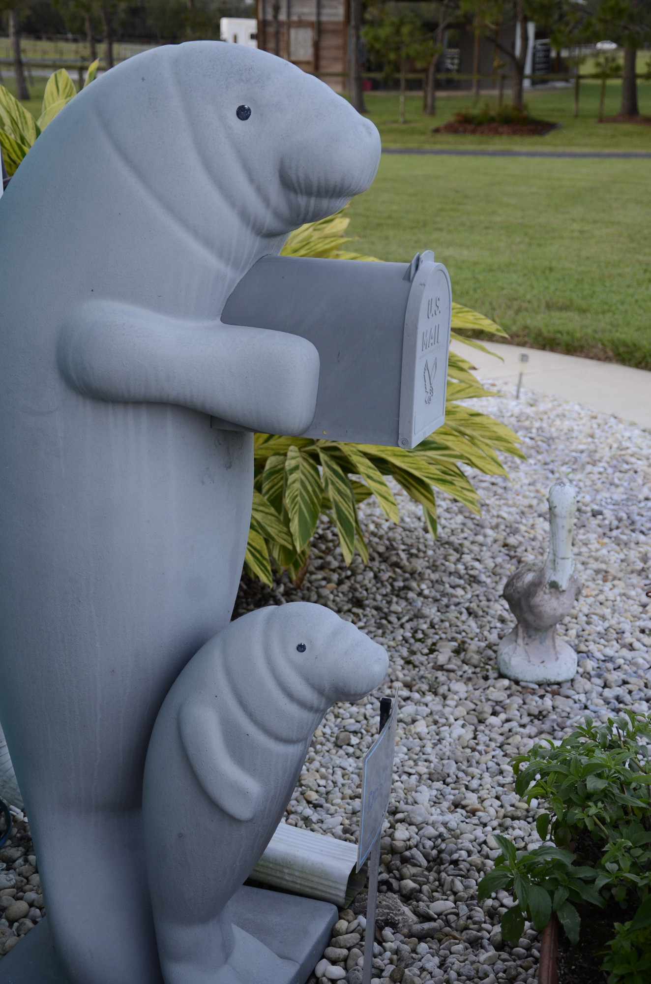 The Ciemniecki's mail is delivered into a manatee-themed mail box.