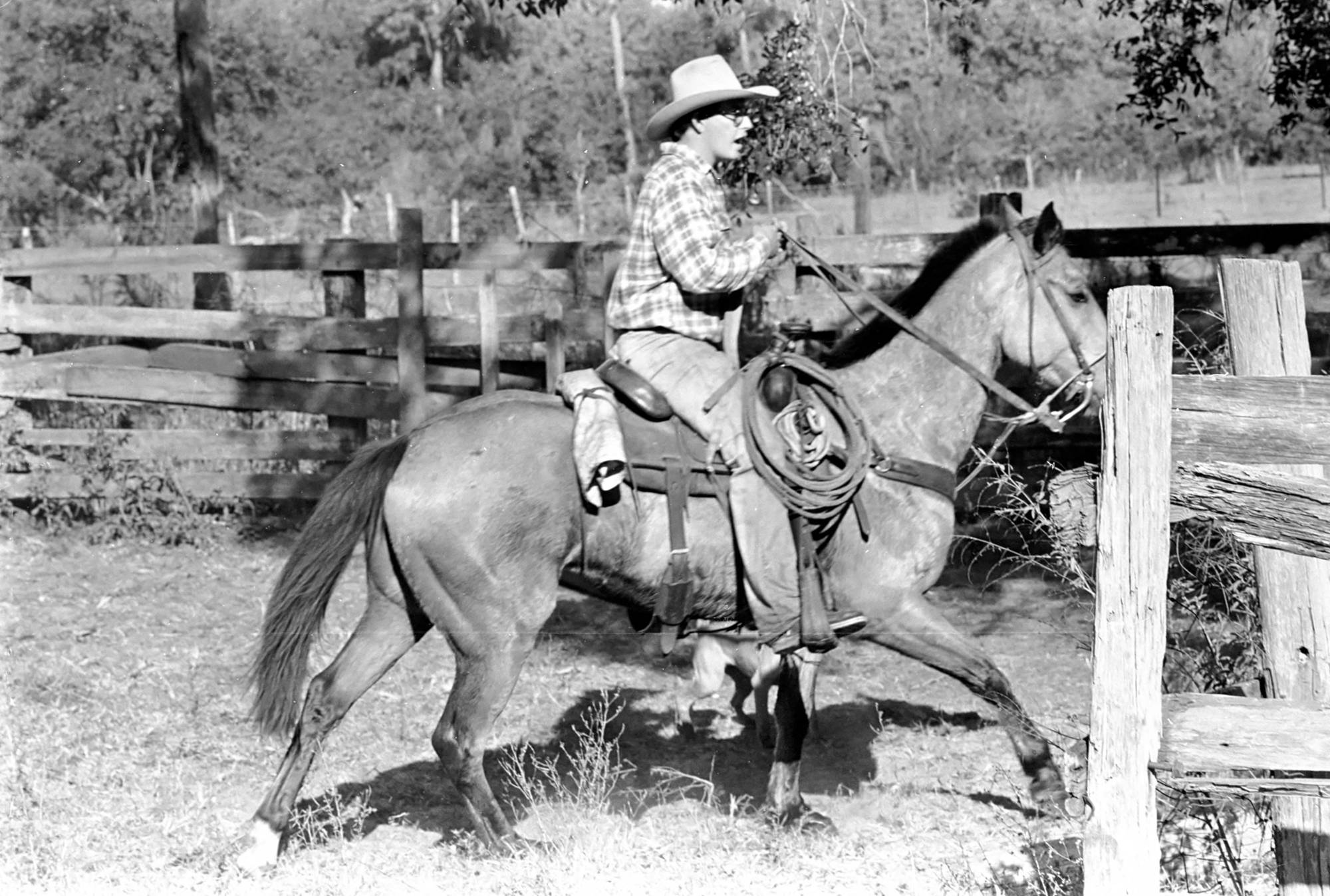 Jim Strickland rides at his ranch in Dec. 1978. Photo courtesy of the Manatee County.