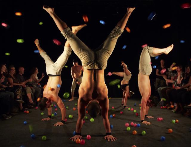 Australian group Gravity and Other Myths will perform at the eighth annual Ringling International Arts Festival.
