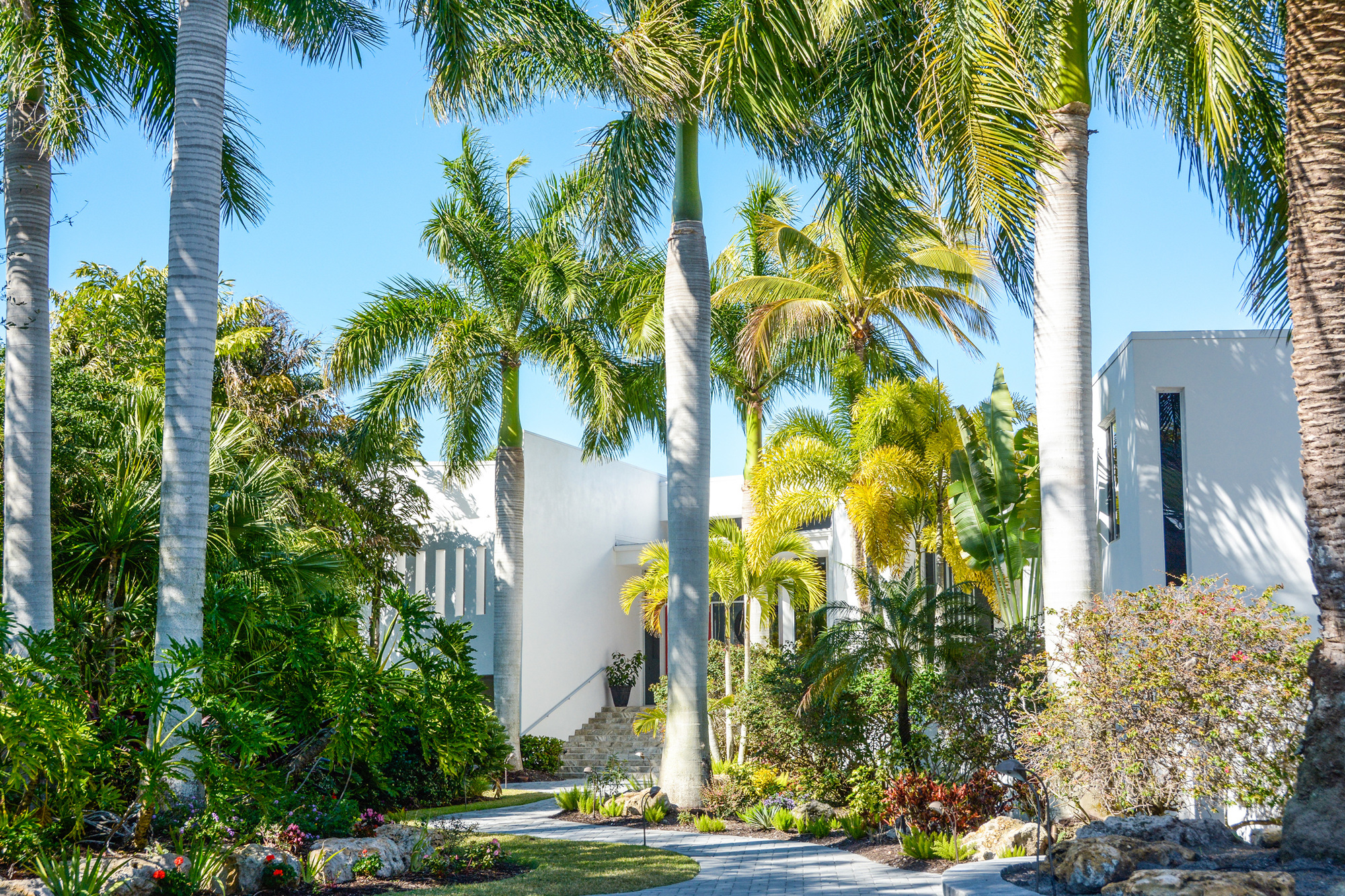 Courtesy photo. Palm trees structure the landscape that surrounds this modern Siesta Key home.