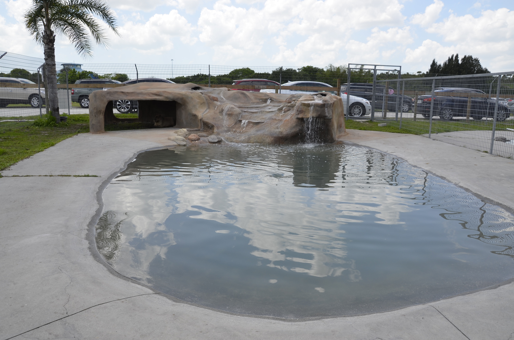 Bob's new and improved enclosure includes a structure made by Incredible Creations, a creative cement company out of Bradenton. The company donated the labor to complete the project.