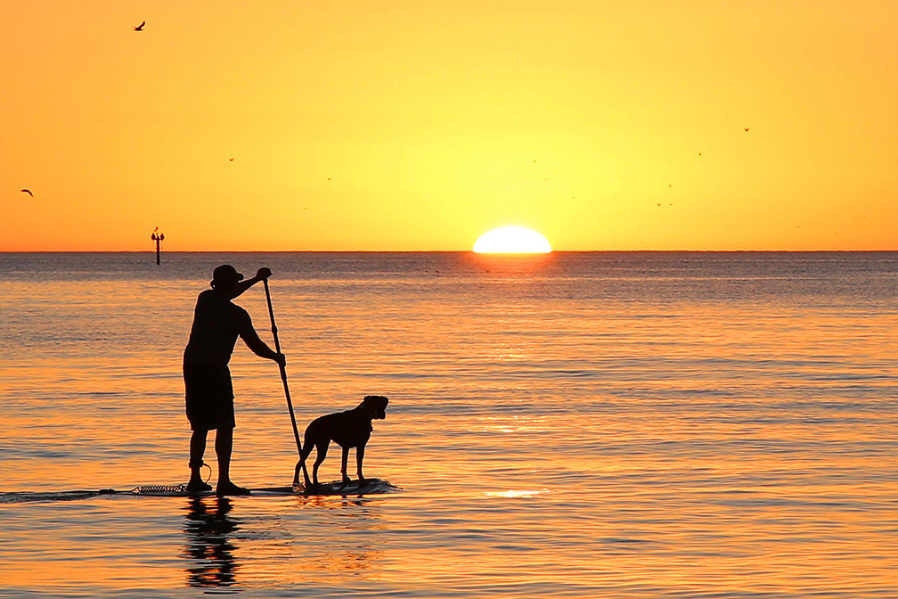 Kathy Schwartz, of Osprey, submitted this photo of a paddleboarder and dog during a Siesta Key sunset.