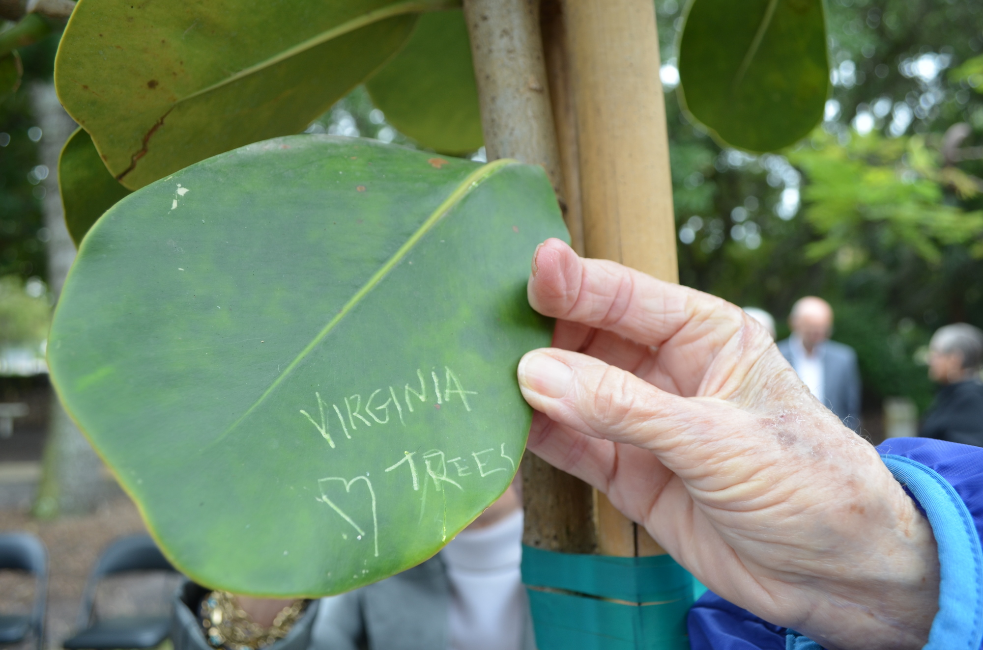 Virginia Sanders carves her name into a leaf at last year's Arbor Day.