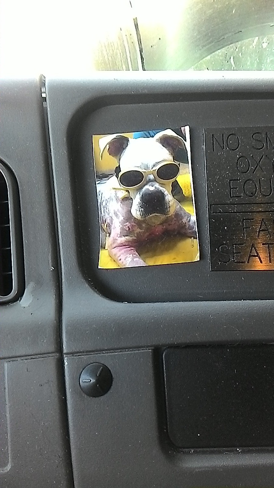 Cheryl Brady has a photo of Toby pasted on the dashboard of her ambulance as one of her company's success stories.