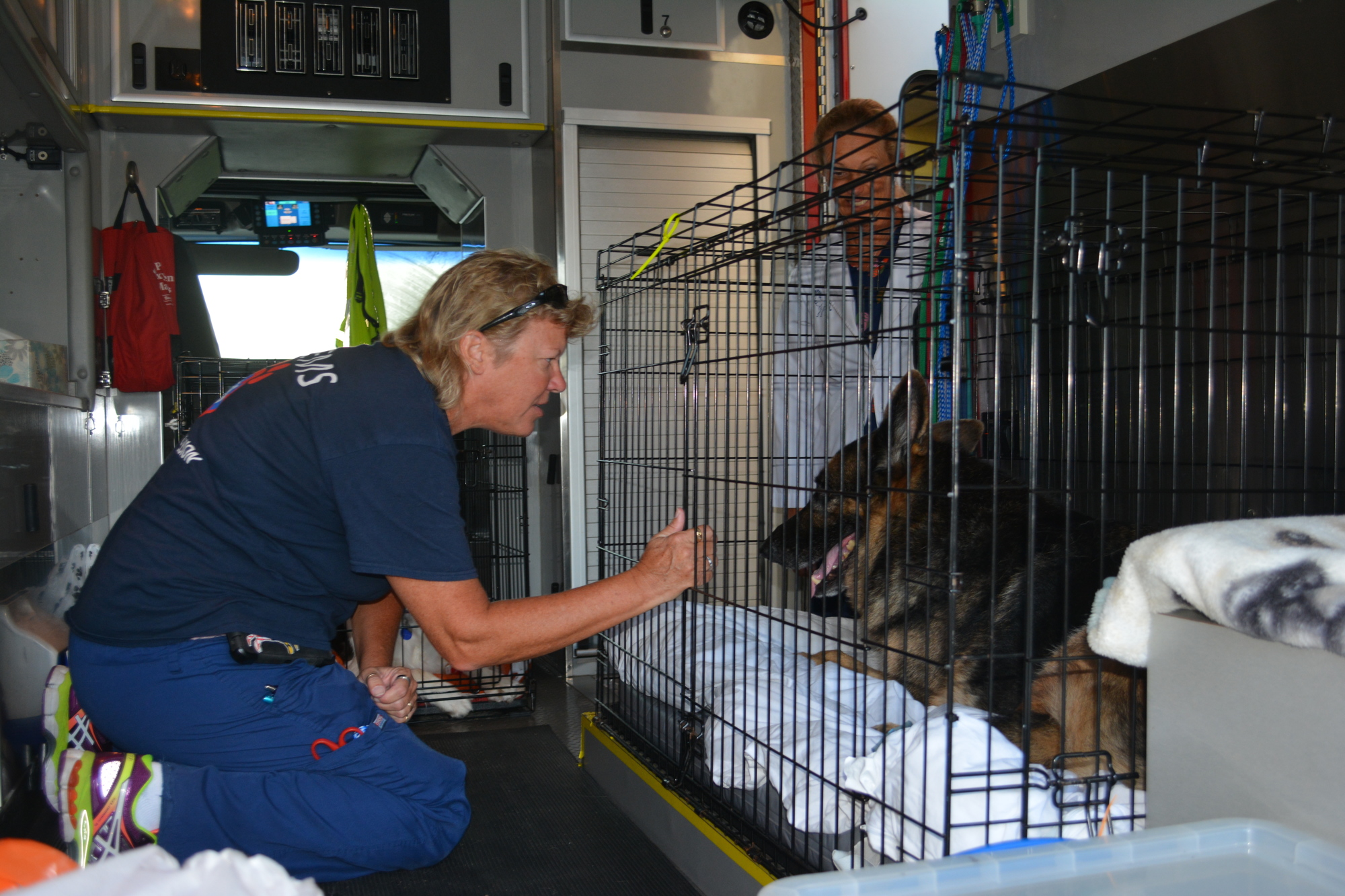 Cheryl Brady checks on Kash, who had surgery the night before, as she gets ready to transport him.