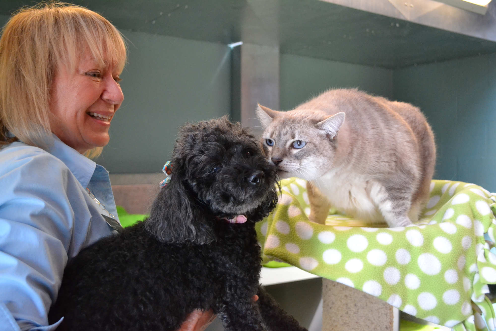 Cat Depot Executive Director Shelley Thayer lifts Mimi up to greet her pal Spice.