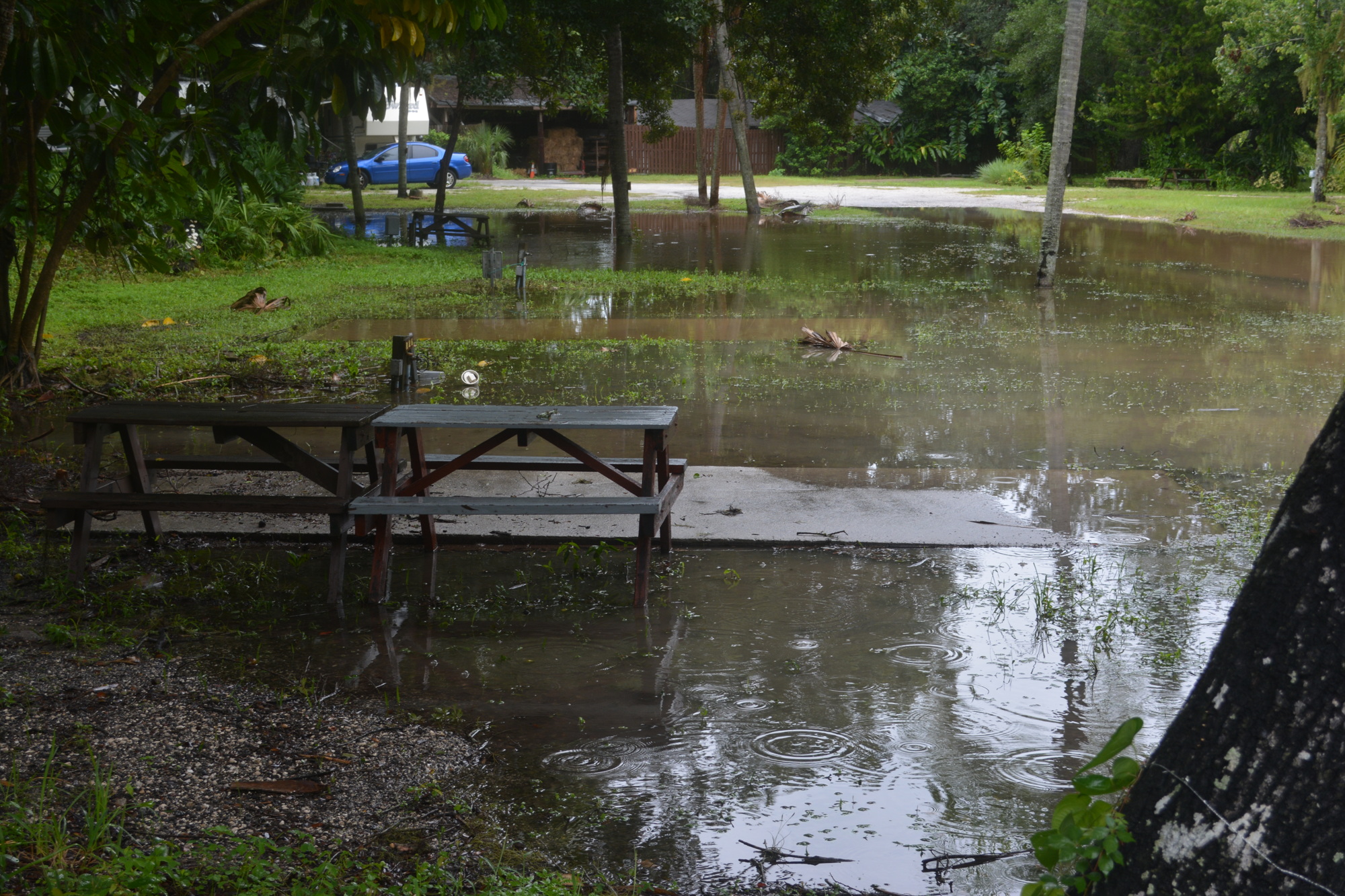 Linger Lodge General Manager David LaRusso said about 12 people had to evacuated out of RV sites on the lower level of the property due to the swelling of the Braden River. The lodge wasn't affected and was closed for renovations, anyway.