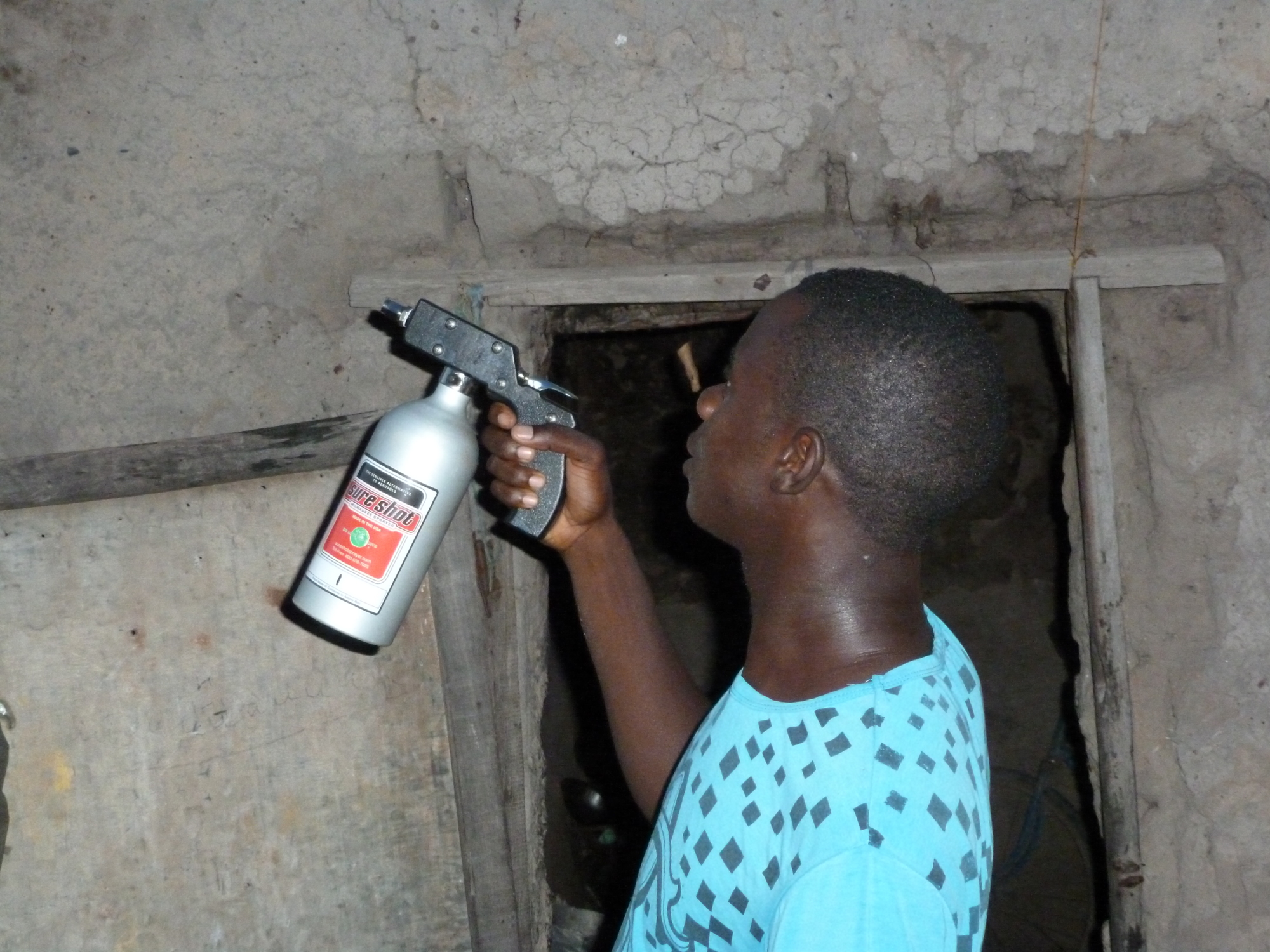 A village volunteer in Burkina Faso sprays  a swarm of mosquitoes.