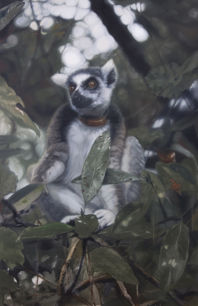 Untitled (Lemur)” by Dustin Juengel was based off of a photo that was taken at the Lemur Conservation Foundation in Myakka City, but the end result is a unique image that deviates slightly from the photo. Courtesy photo.