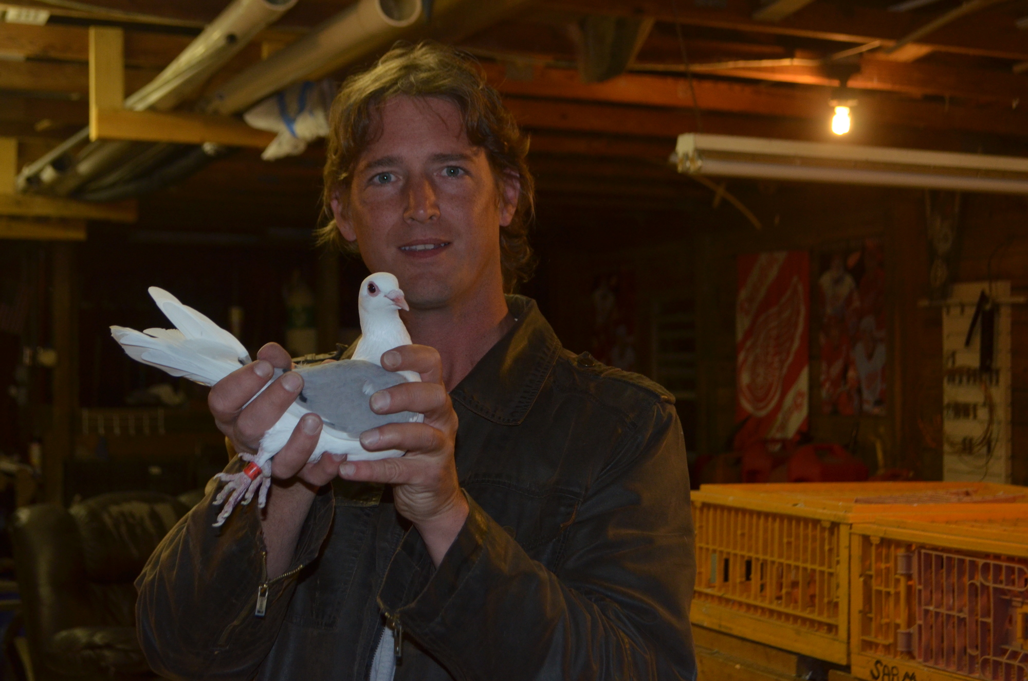 Myakka City's Charles Cole, 39, holds one of the Sarasota Pigeon Club's racing pigeons.