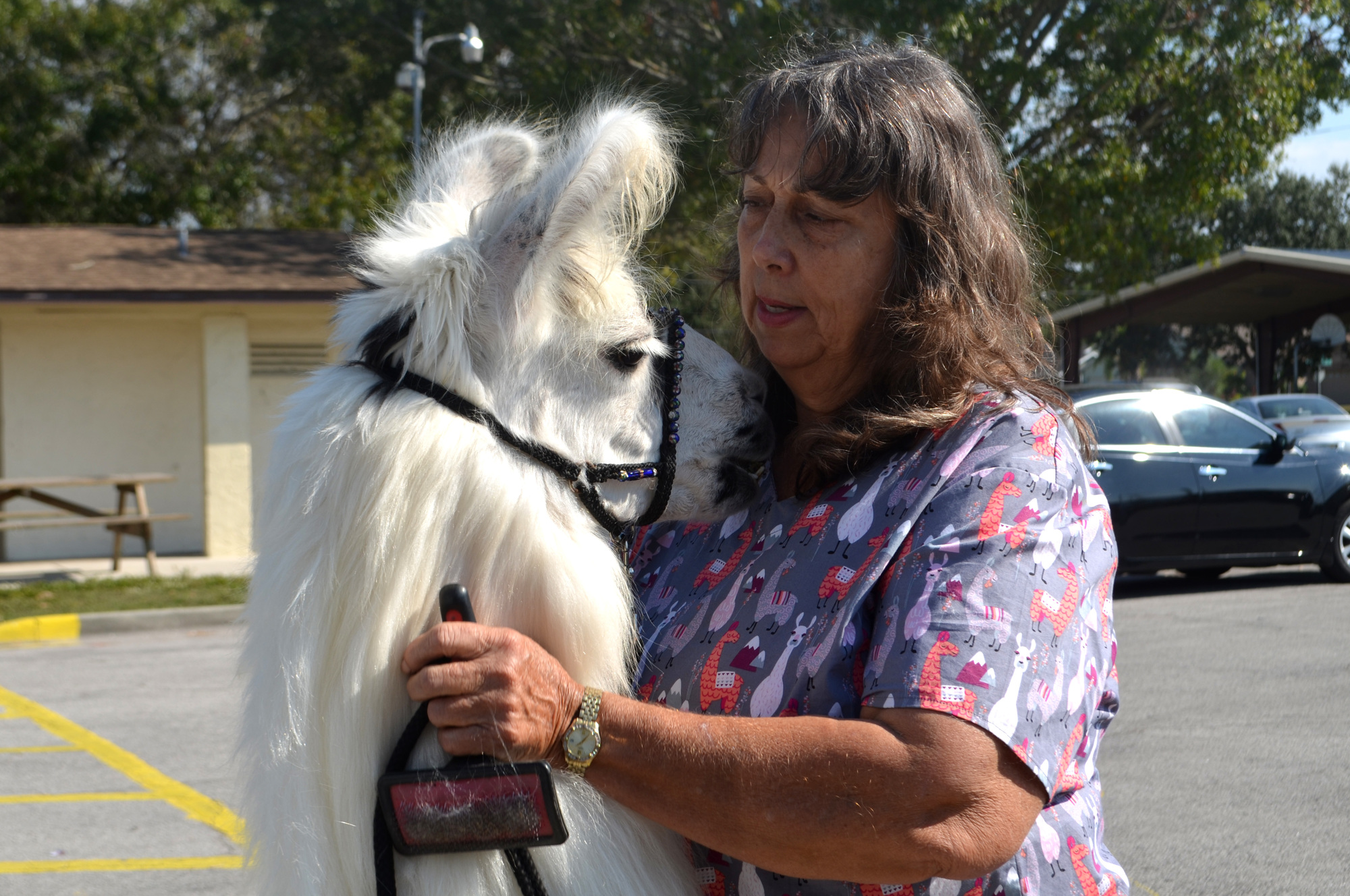 Kathy Wilbanks pets Pete while on a therapy call at Bee Ridge Park. 