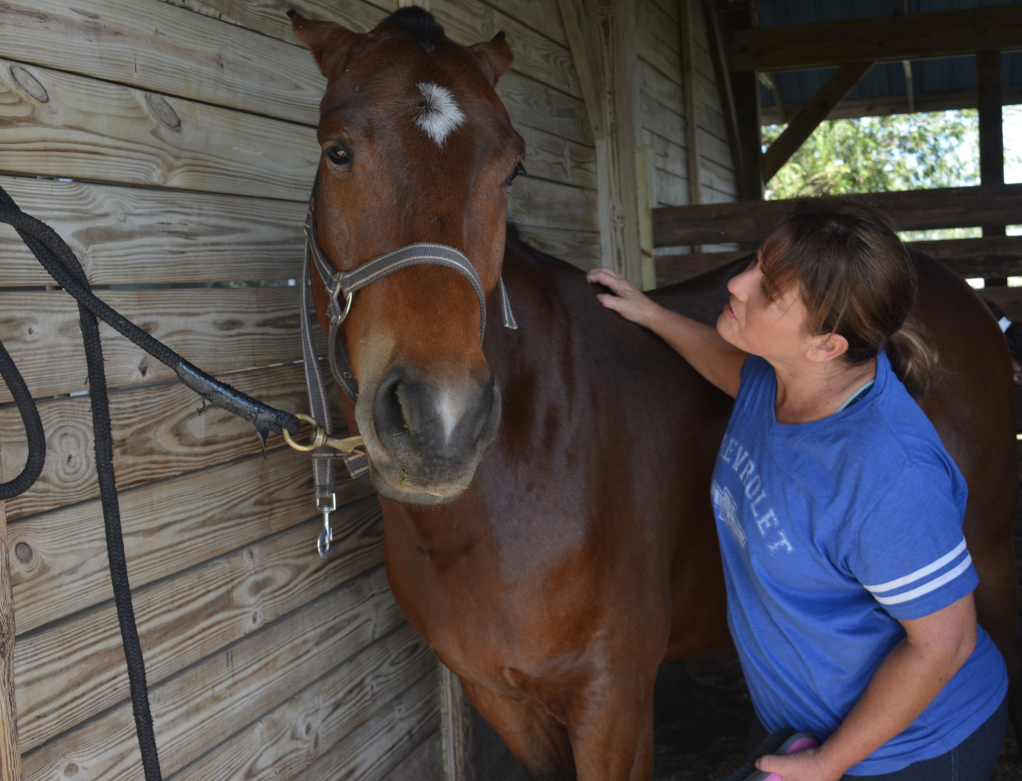 Those who love horses can check out polo by calling the Sarasota Polo Club for information about lessons and clubs. Jaymie Klauber said the social aspect is most enjoyable.