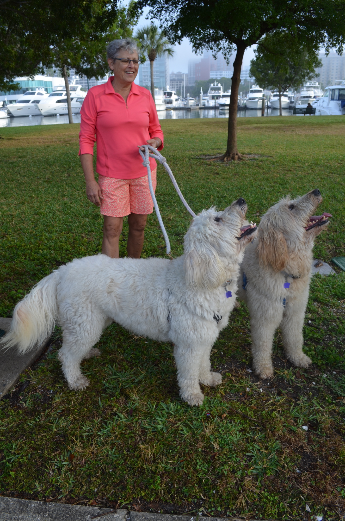 Mary Nolan takes her goldendoodles Otis and Mozy to Bayfront Park, where they're entranced by the squirrels that roam the park.