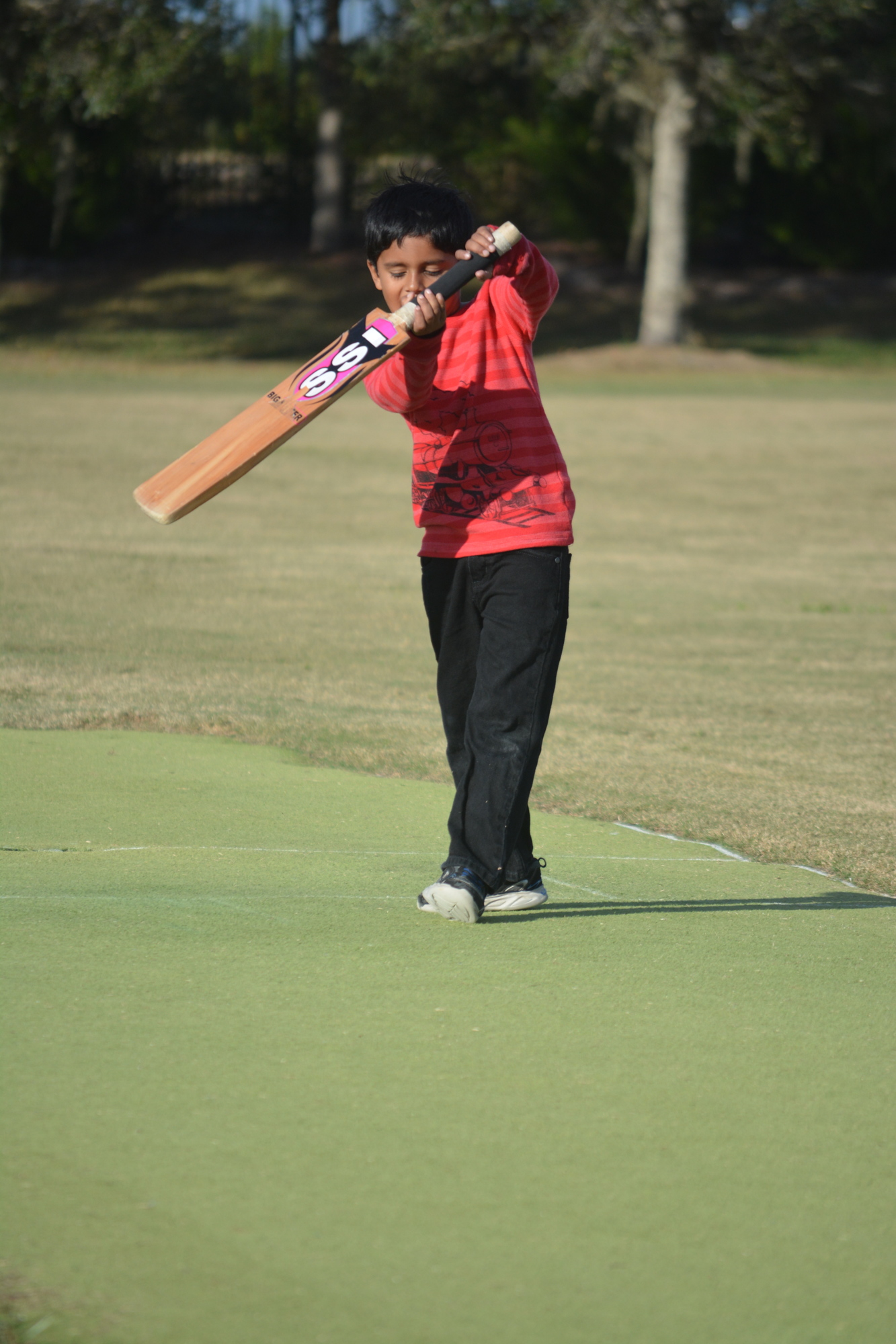 Srihaan Dhinesh, 6, swings the bat.