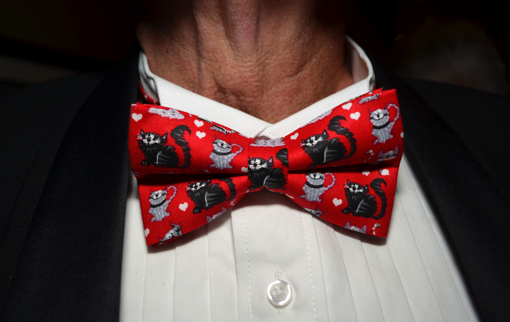 Doc Wallace found a custom bowtie on Etsy.com that he wore at the Cat Depot Gala on March 11 at Hyatt Regency Sarasota. Photo by Niki Kottmann