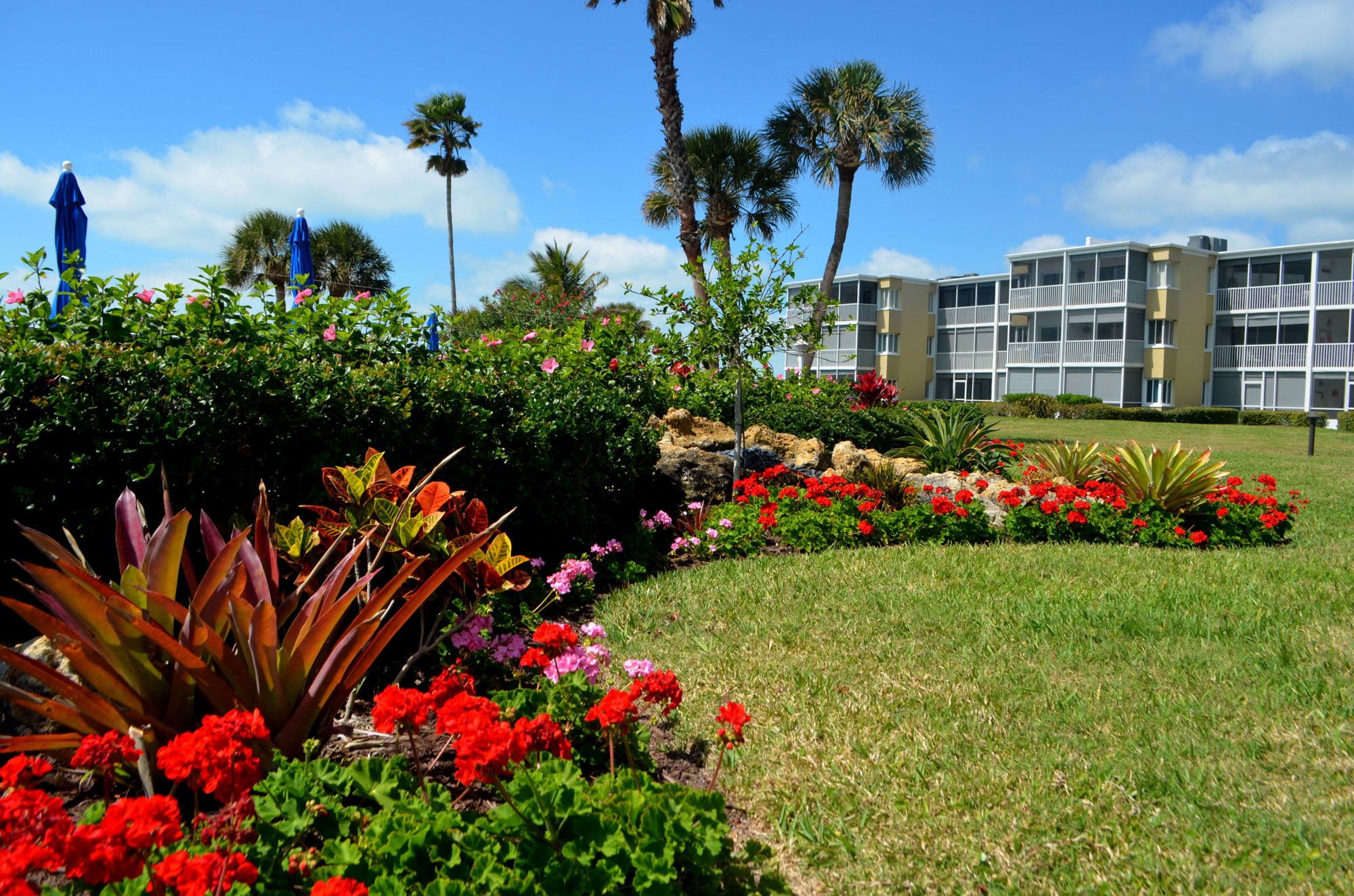 When walking to the pool deck, residents are greeted with tropical colors and plants. 