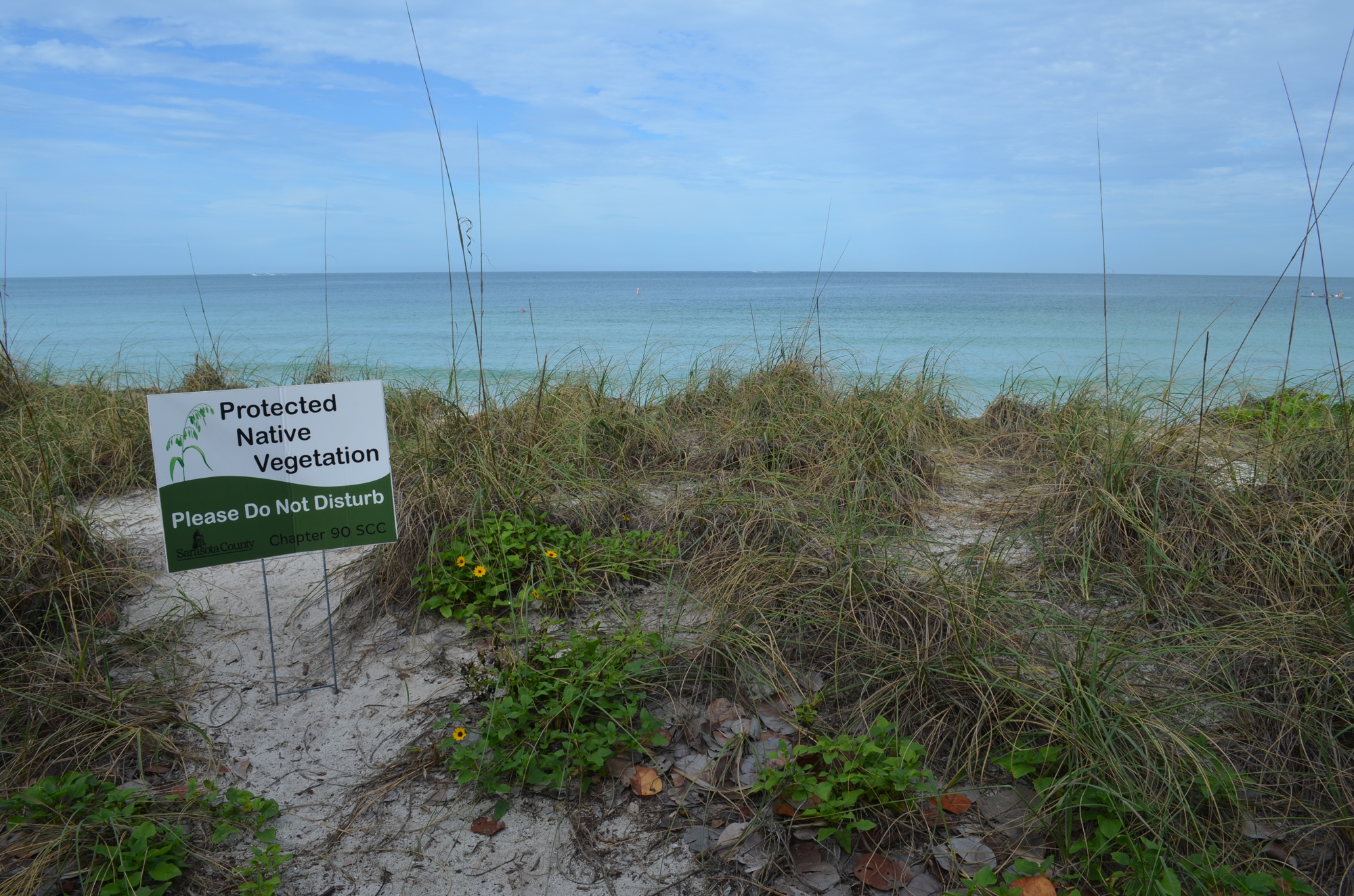 The county is placing more signs along Lido Beach to tell visitors to steer clear of the dunes.
