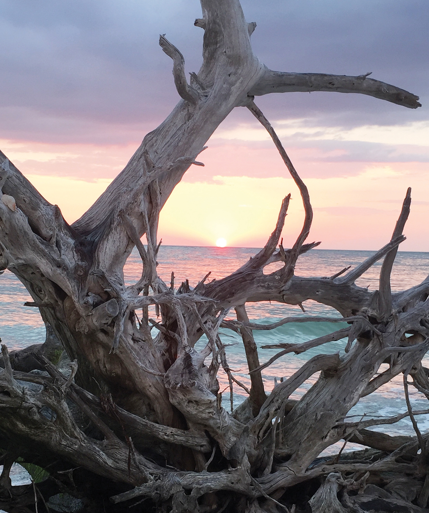 JoAnn Schwencke photographed this sunset and driftwood at Beer Can Island.
