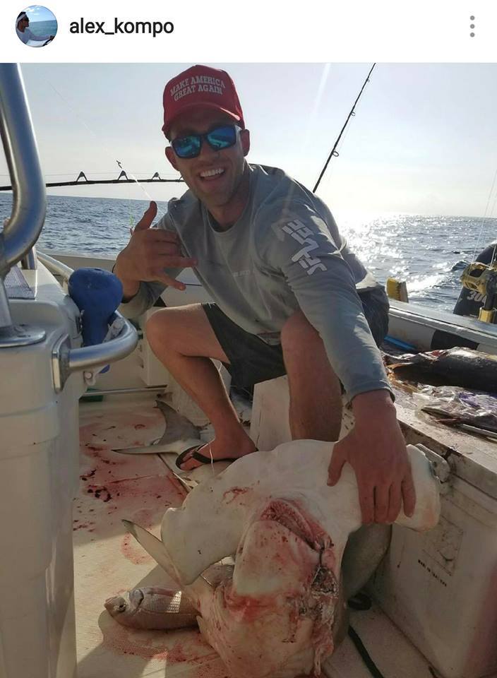 Alex Kompothecras poses with a dead marine animal in a post on his Instagram, wearing the same outfit as the man who appeared in a video shooting a hammerhead shark. 