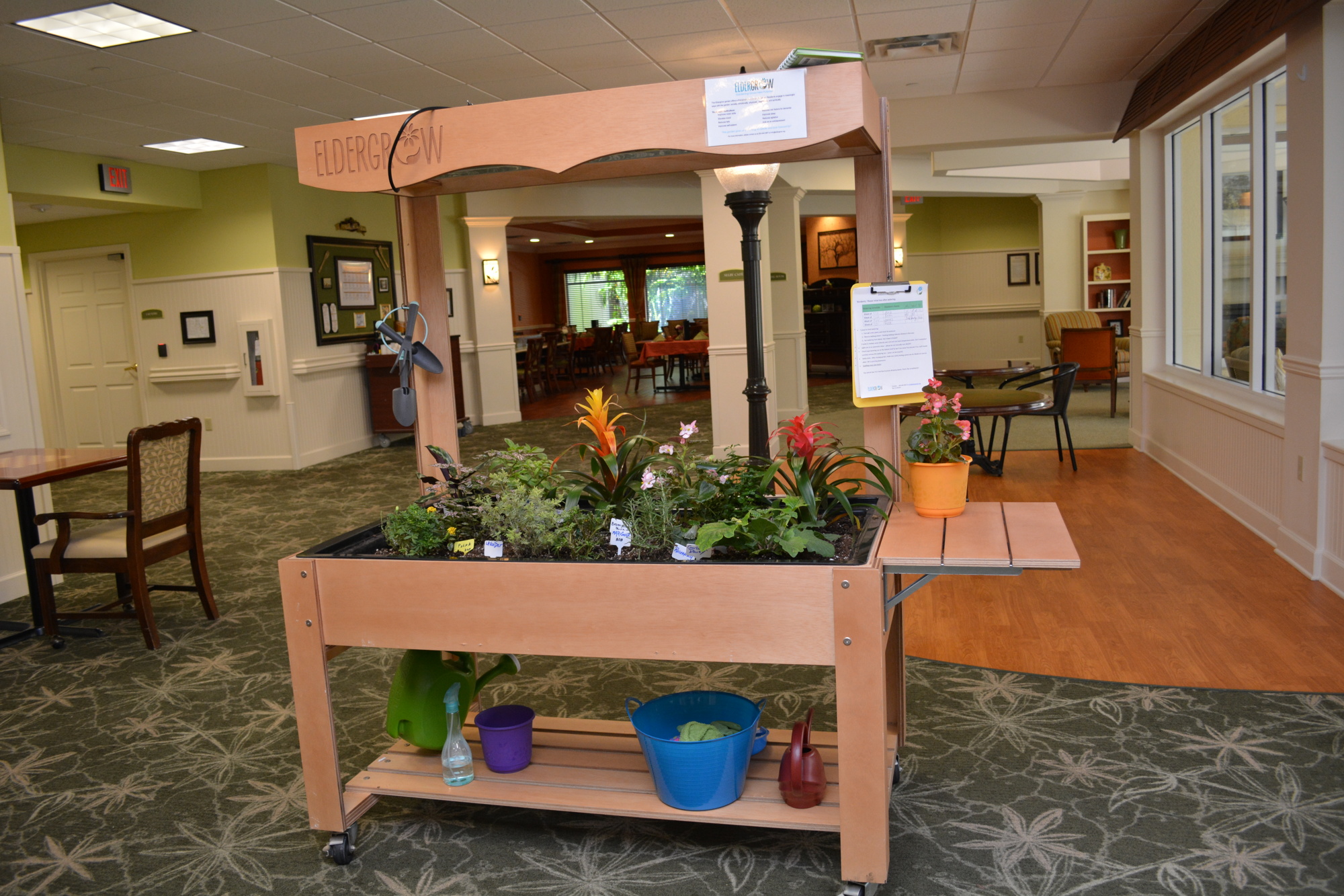 The therapy garden uses indoor grow lights to grow plants. Eldergrow teachers say horticultural therapy stimulates senses and memory, reduces dementia risk factors and improves motor skills, self-esteem and sleep. cv