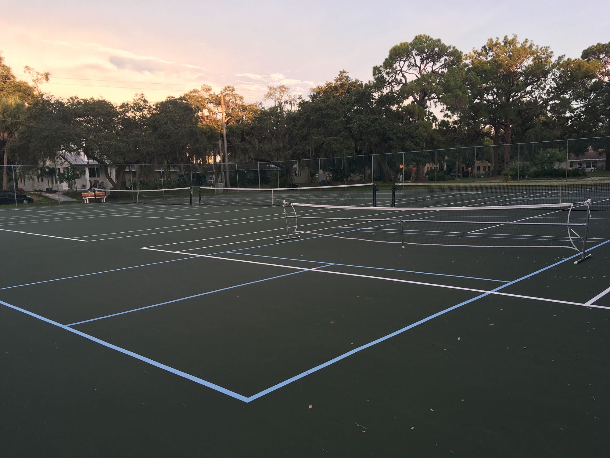 Municipalities and homeowners associations have converted tennis courts to pickleball courts to capitalize on the sport's growing popularity — including this public court in Gillespie Park.