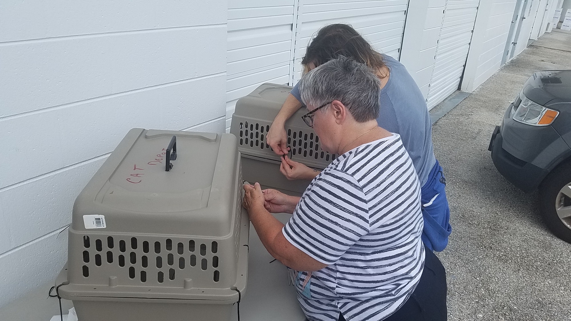 Volunteers assembled more than 100 pet carriers Wednesday morning.