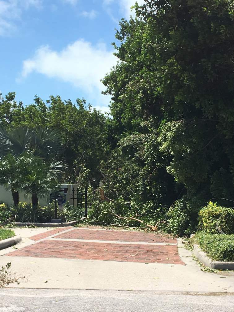 Trees block the entrance to Bay Isles Beach Club on Longboat Key.