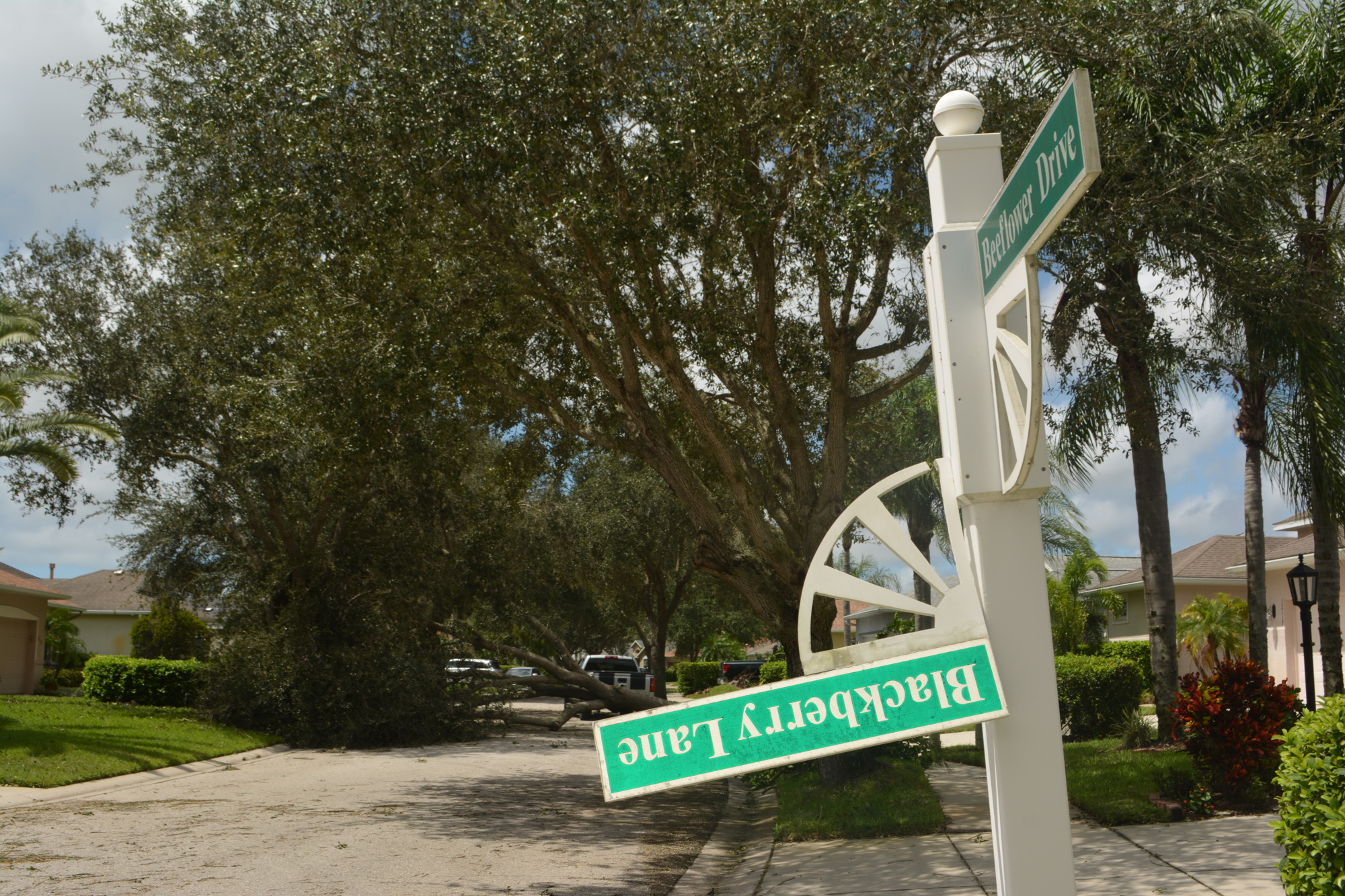 Hurricane Irma turned the lives of East County residents upside down, even those on Blackberry Lane in Lakewood Ranch's Summerfield.
