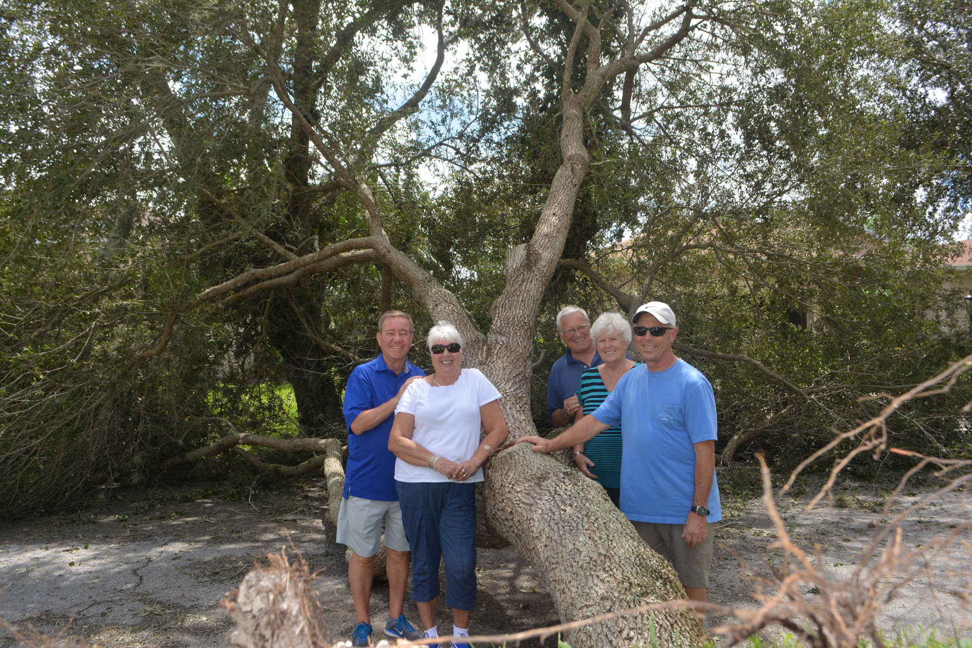 Thomas and Glenis Thomas, Alex and Corrie Moor and Bruce Sengstaken were safe after Hurricane Irma despite a tree falling on their street, Beeflower Drive in Summerfield.