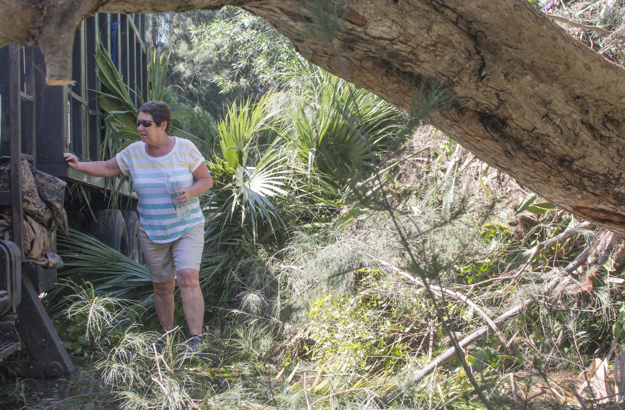 Mary Goodan navigates a fallen tree at the beginning for her street in an effort to get back to her home.