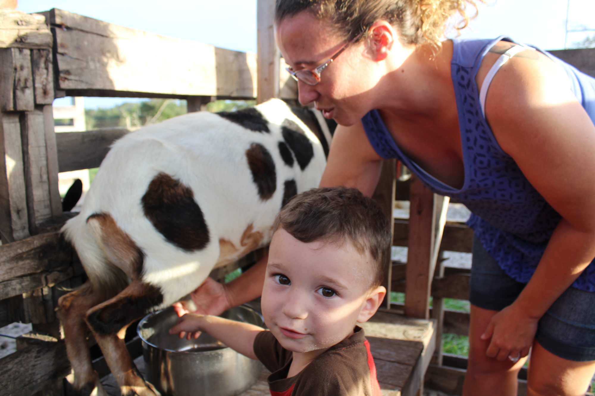Joshua Smith and his mom, Morgan, spend time together milking Xena.