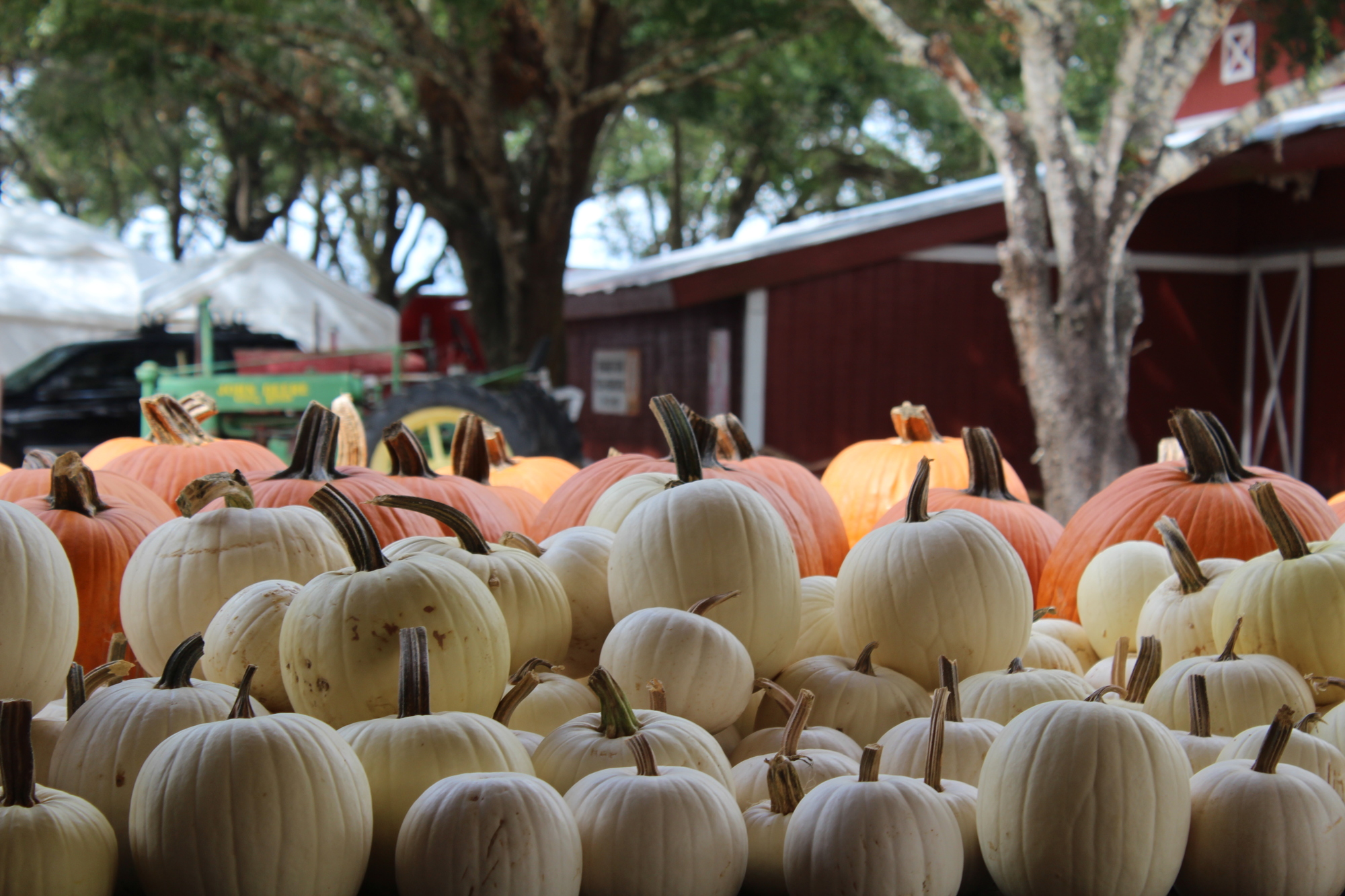 Hunsader Farms will return this year on Oct. 14 with their 26th annual Pumpkin Festival.