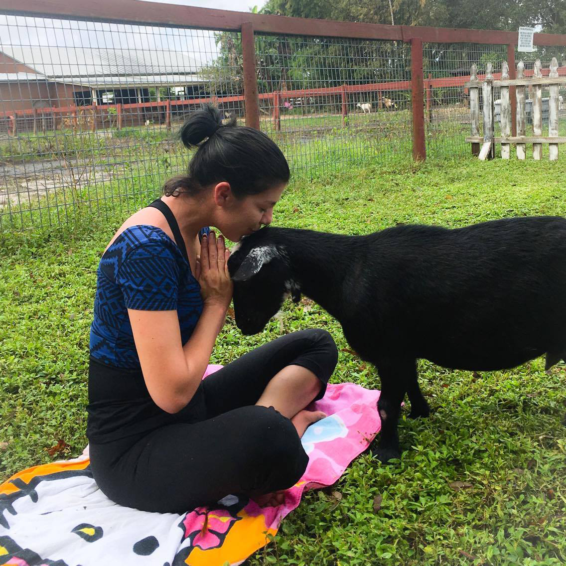 Michelle Leon kisses a goat while leading Fruitville Grove's first goat yoga class.
