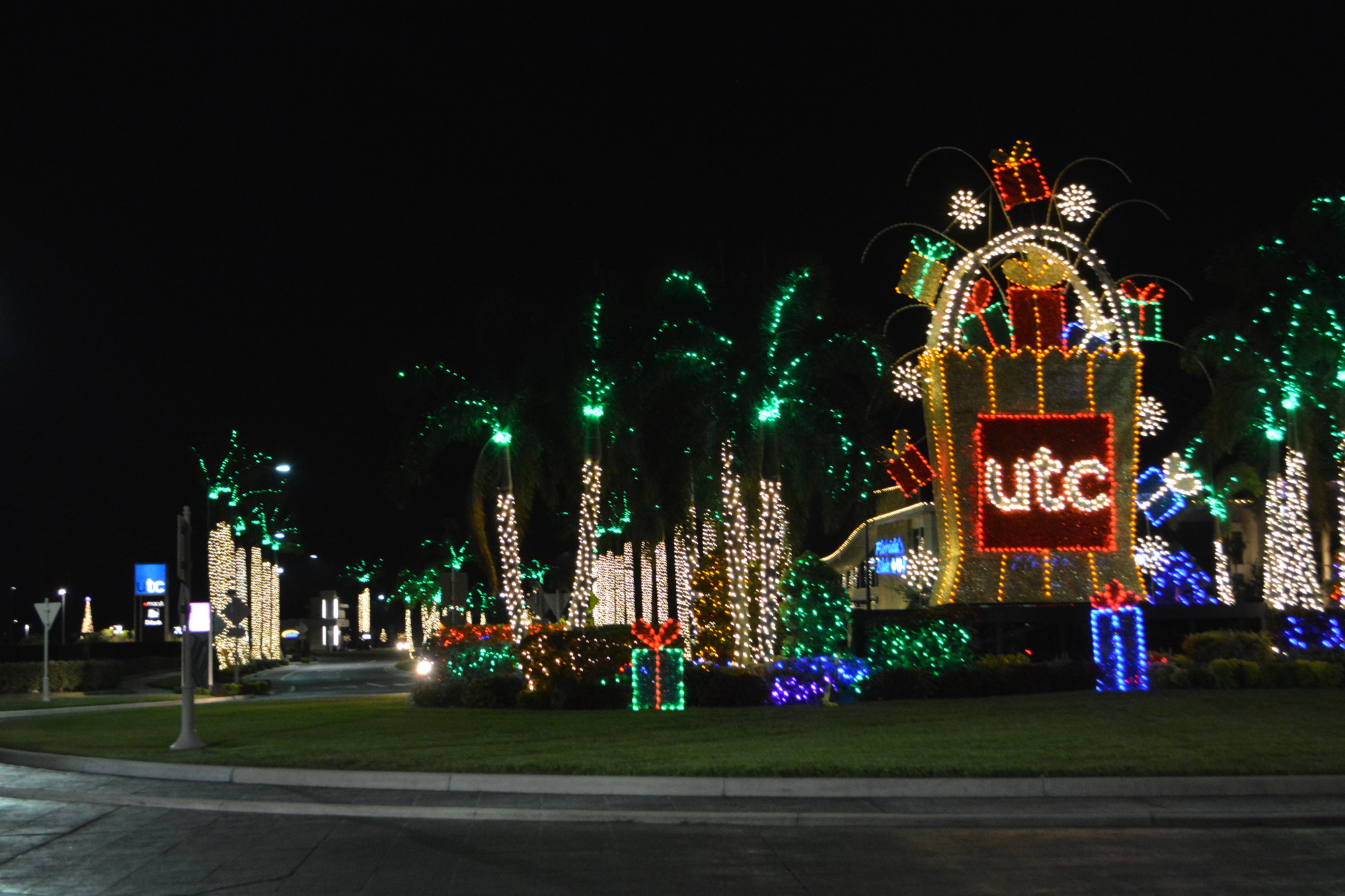 Benderson Development has decorated palm trees and put up other holiday decor all along its property on Cattlemen Road.