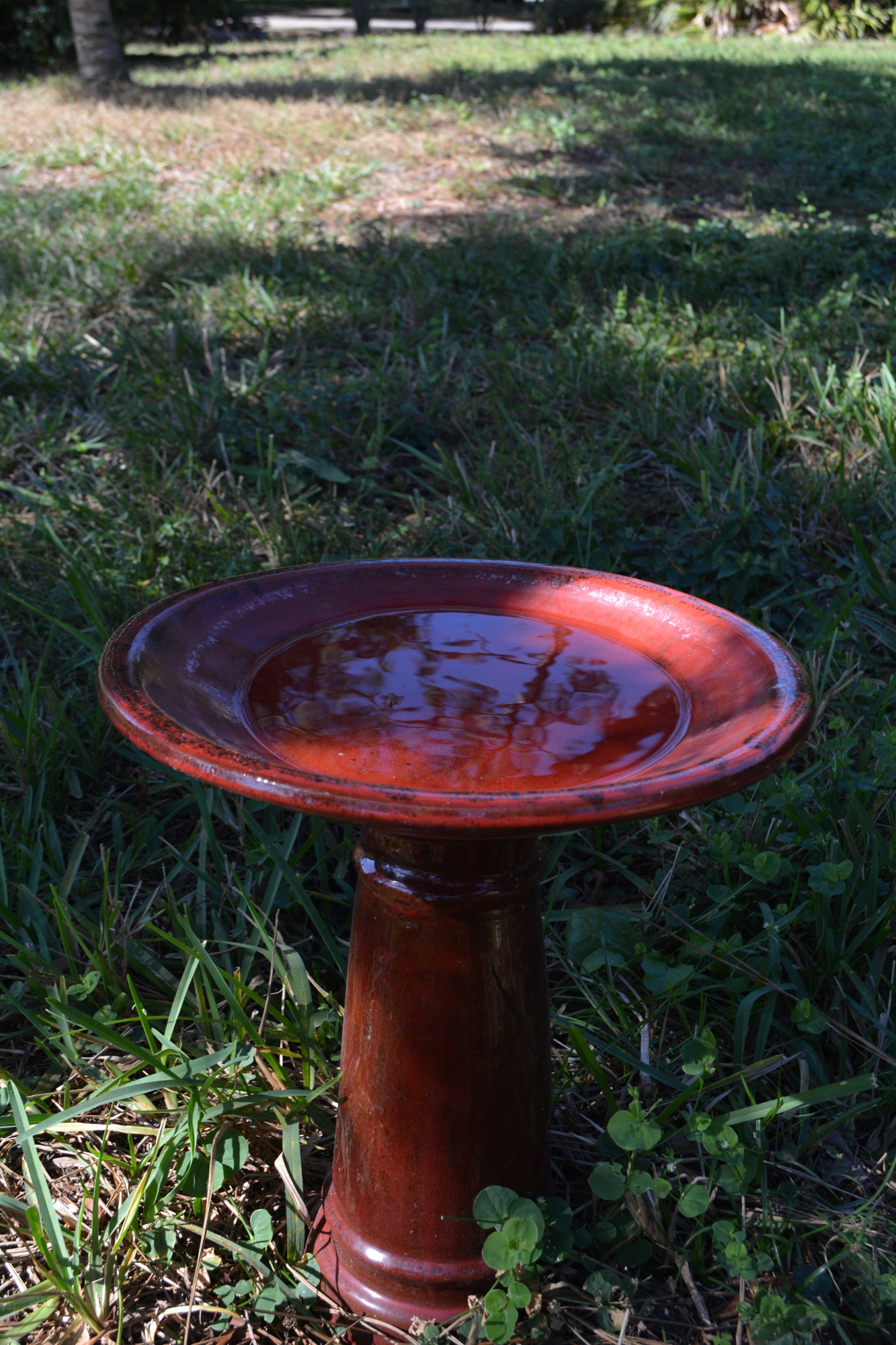 Bird baths should be kept full of fresh water and cleaned of debris. Having fresh water is a major attractor for birds.