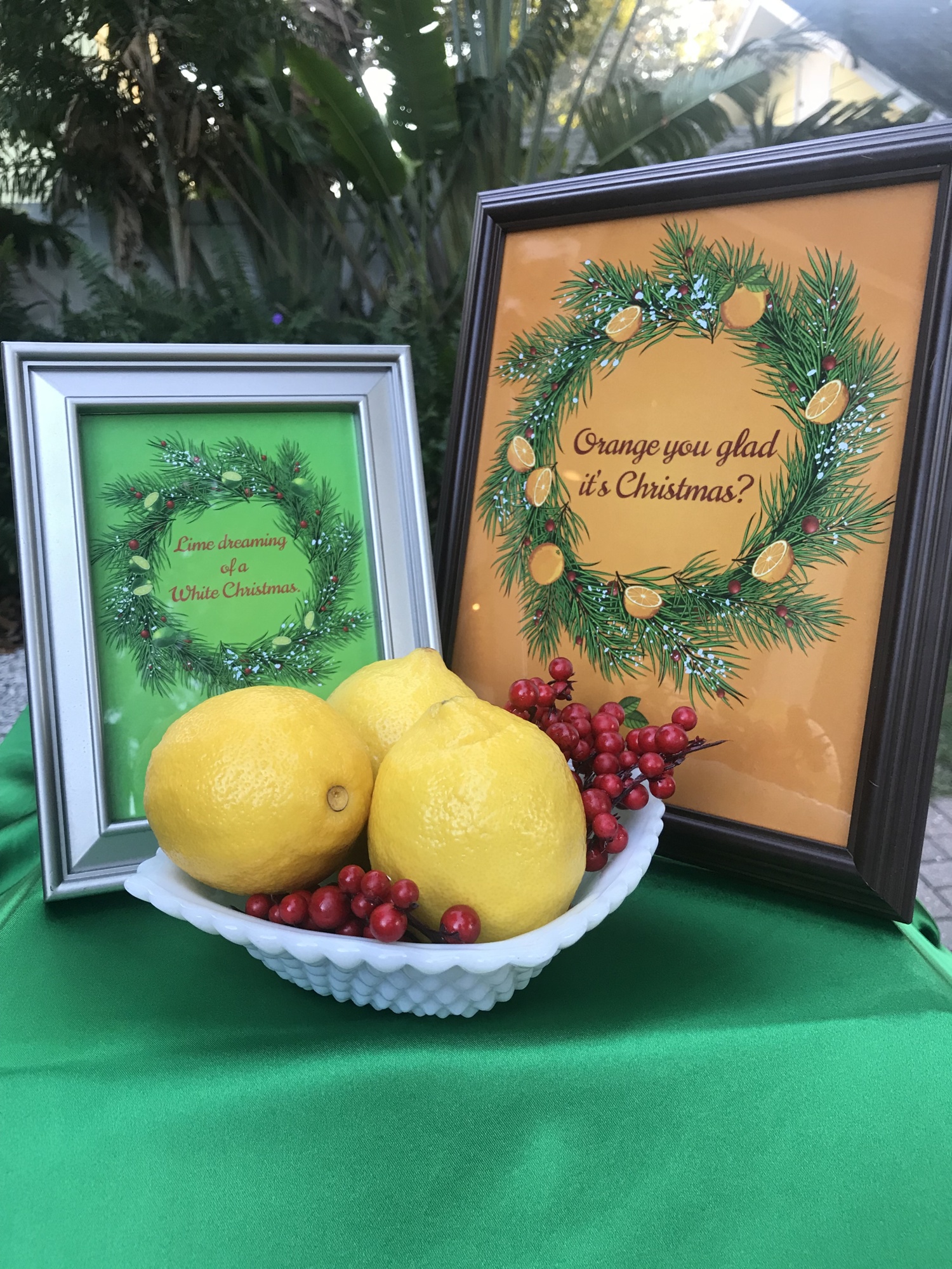 Erin Christy got creative with her decor for Christmas on Citrus. Courtesy photo