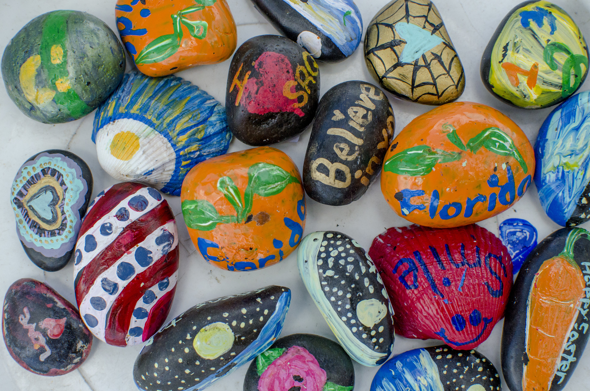  More than 400 members, paint and hide rocks throughout the Sarasota area and beyond.