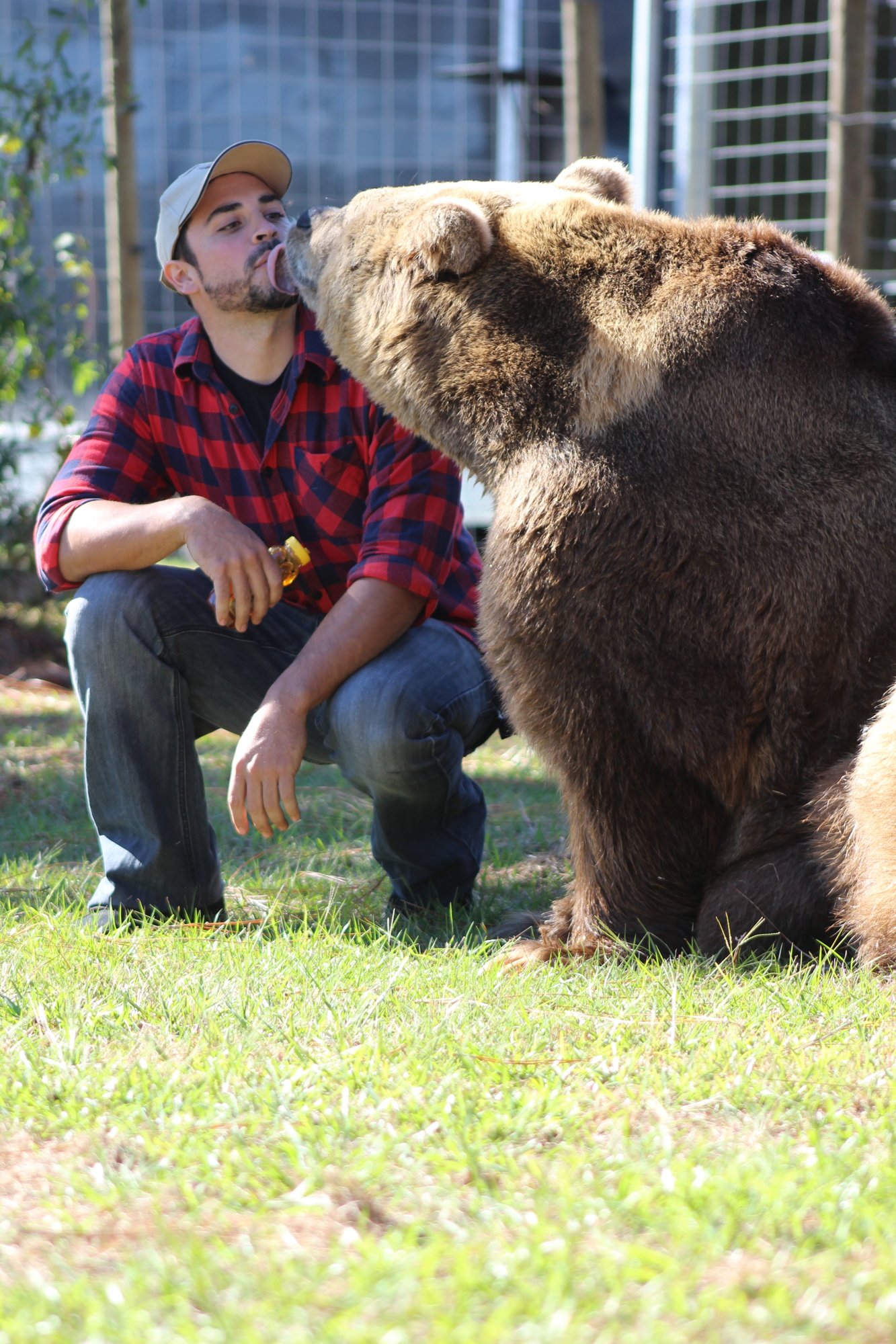 Johnny Welde Jr. plays with one of Bearadise Ranch's European Bears during Brunch with the Bears.