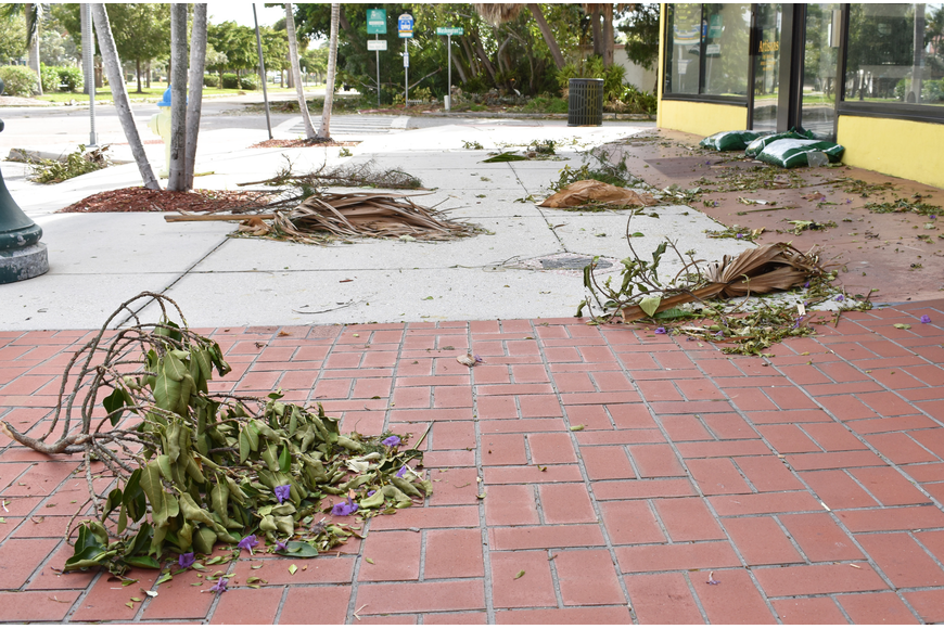 St. Armands Circle was covered in fallen tree debris after Hurricane Irma.