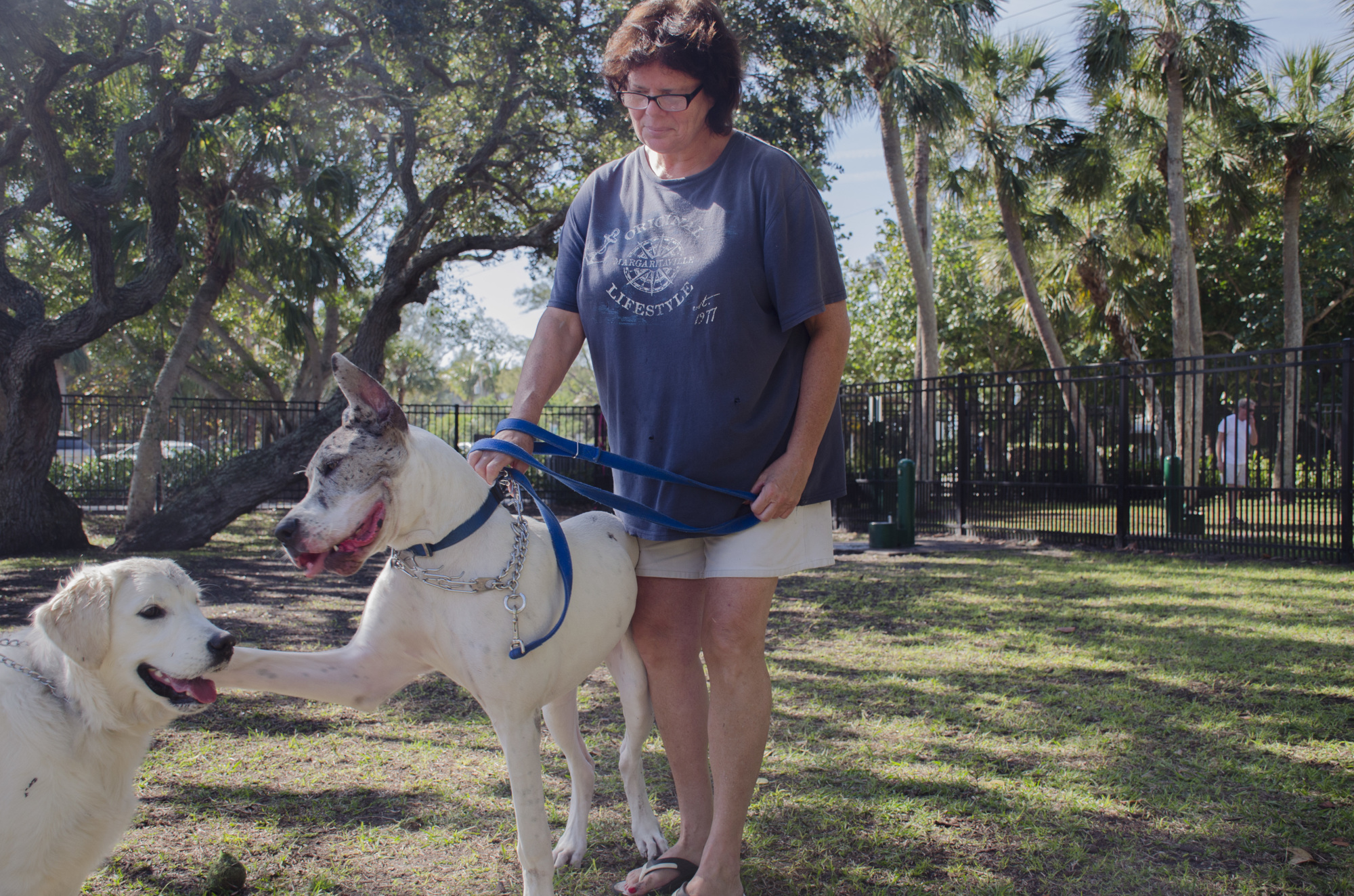 Angie Falknor and her great dane Emma come to Bayfront dog park at least once a day.